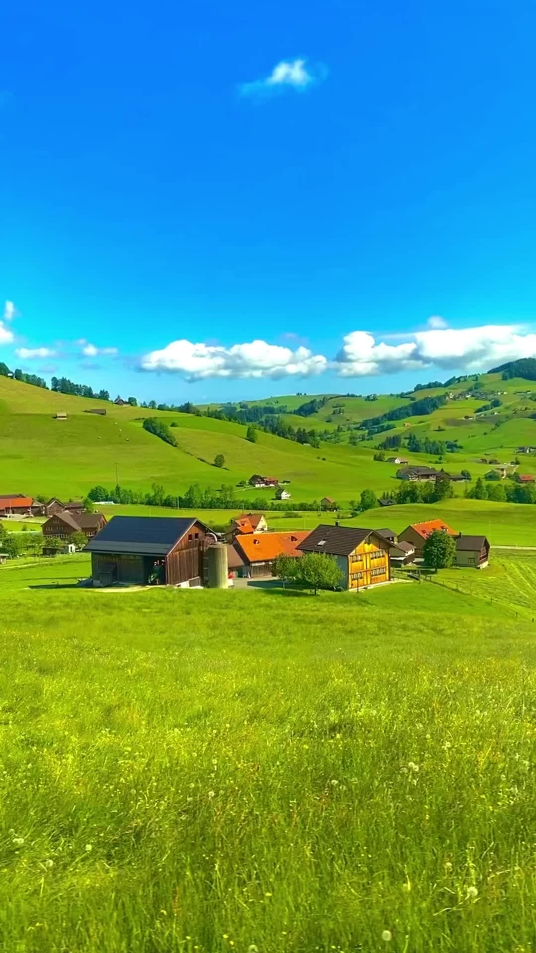 Scenic Appenzell Train Ride: A Swiss Summer Adventure