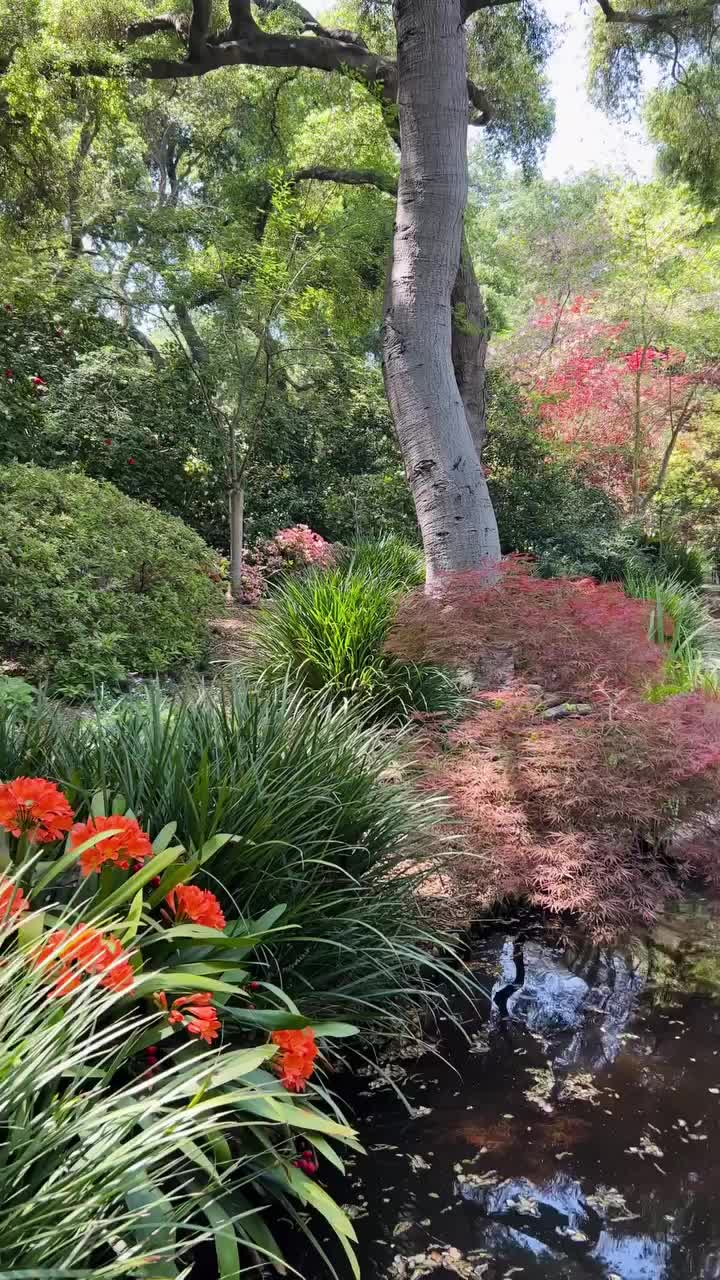 Explore the Beauty of Descanso Gardens 🌷 in Spring