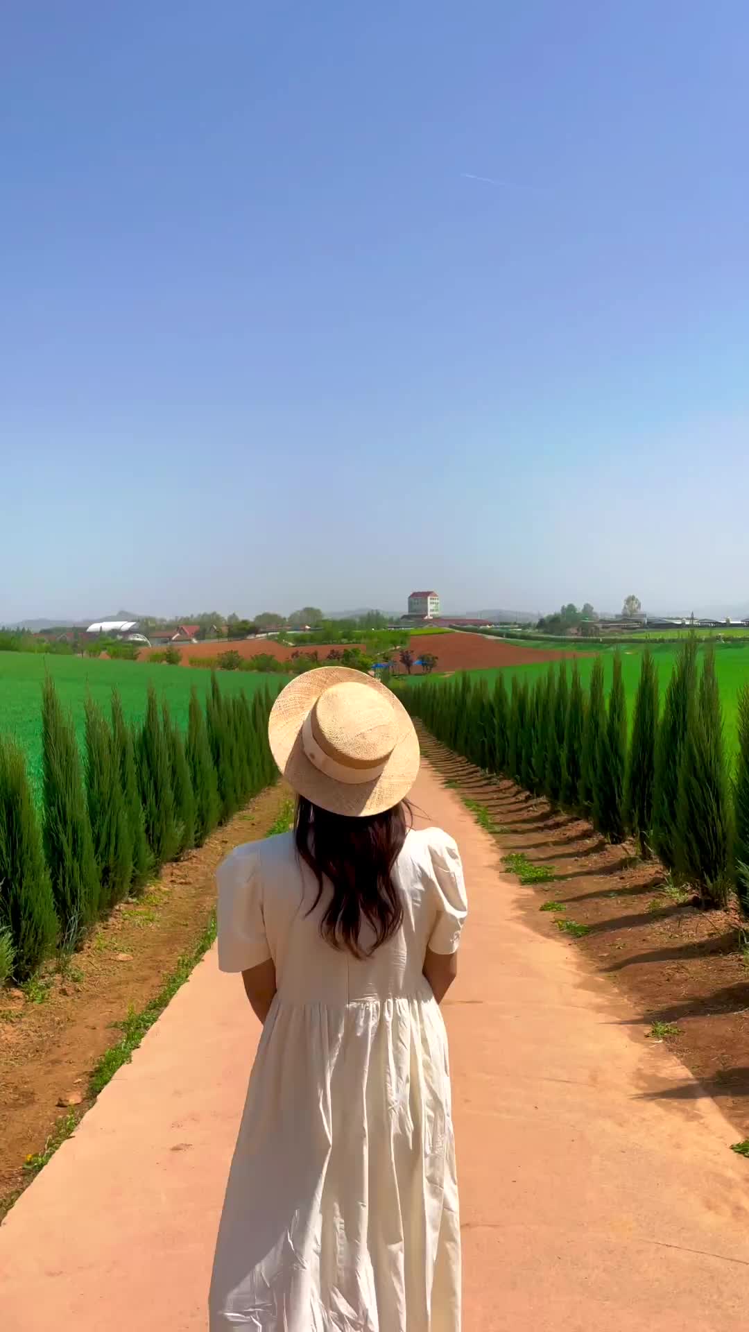 Discover Anseong Farmland: Korea's Tuscany in Spring