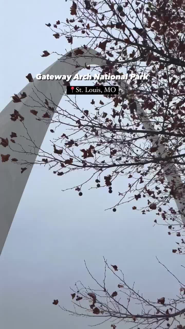 Discover the Tallest Arch: Gateway Arch in St. Louis