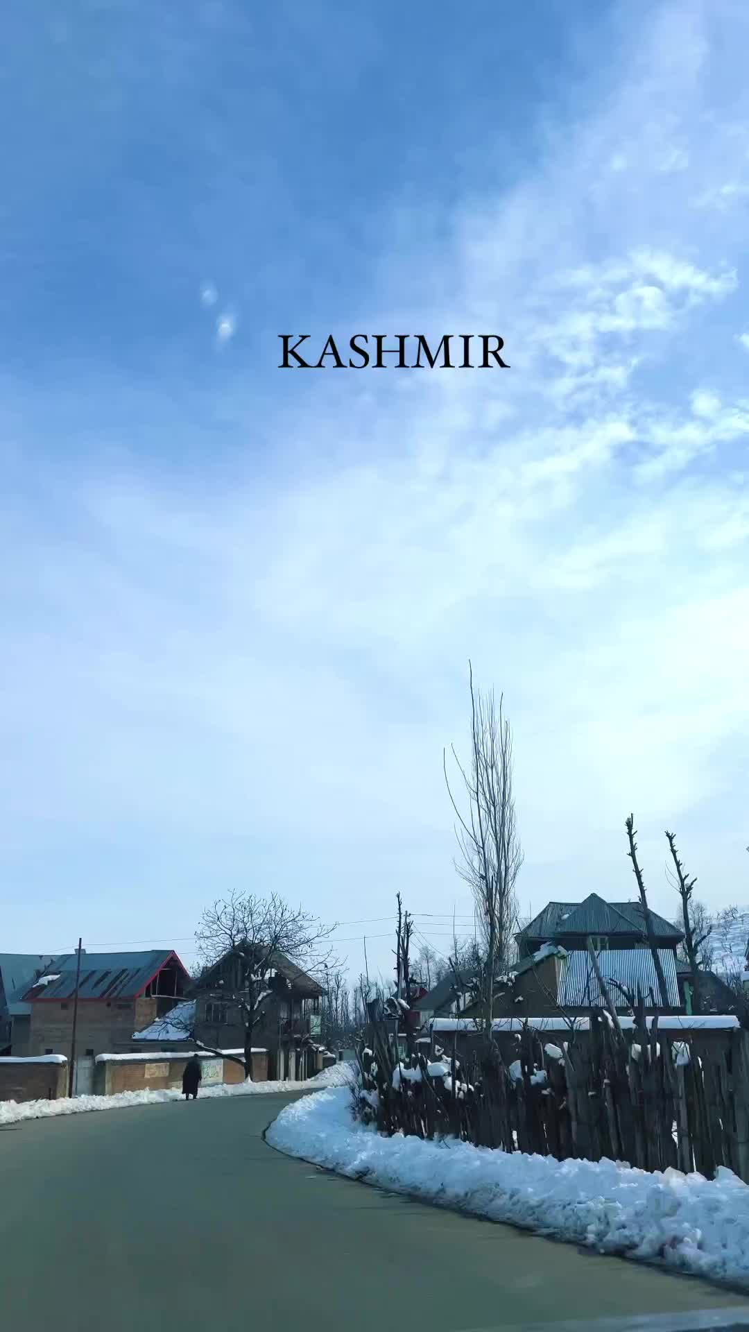 Winter Road Trip in Kashmir: A Peaceful Escape