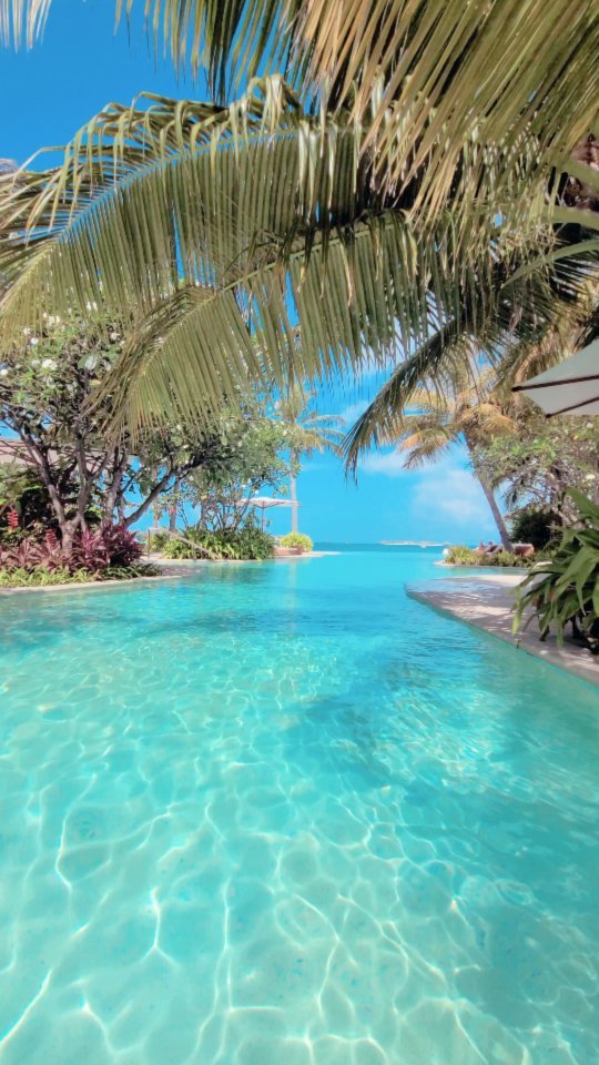 Pool goal in the Maldives 🤩🏝️

-

Follow us ❤️ @toptravelplaces_ for more 👍

-

📸 Video taken by @toptravelplaces_

-

#maldives #maldivesresorts #waldorfastoriamaldives #maldivas #malediven #maldivesislands #maldivesinsider #visitmaldives #bluelagoon #maldiveslovers #Мальдивы #путешествия #maldivesparadise #maldivesphotography #amazingdestinations #instatravel #paradise #beautifulmaldives #videooftheday #borabora #beachlovers  #beach