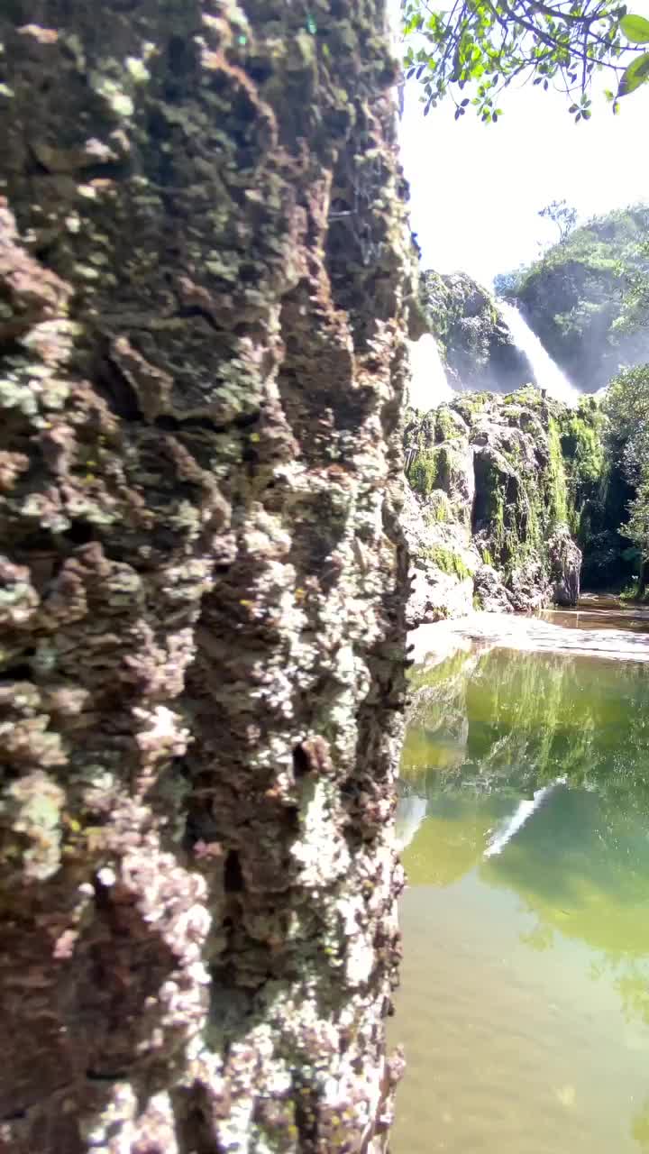 #tbt Pisando Verde na Canastra 🥾🌱

#pisaverdeecoturismo #ecoturismo #forro #natureza #viagem