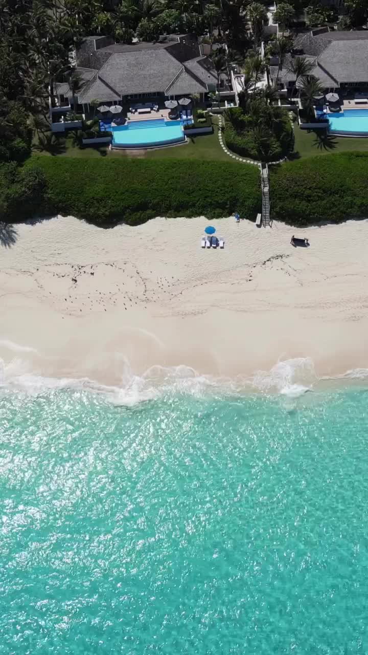 Discover Paradise at The Ocean Club, Bahamas 🌴