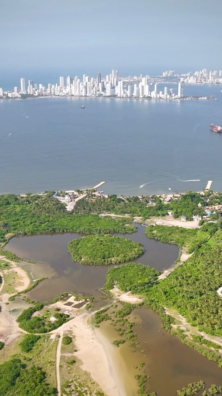 Descubriendo la Historia y Gastronomía de Cartagena