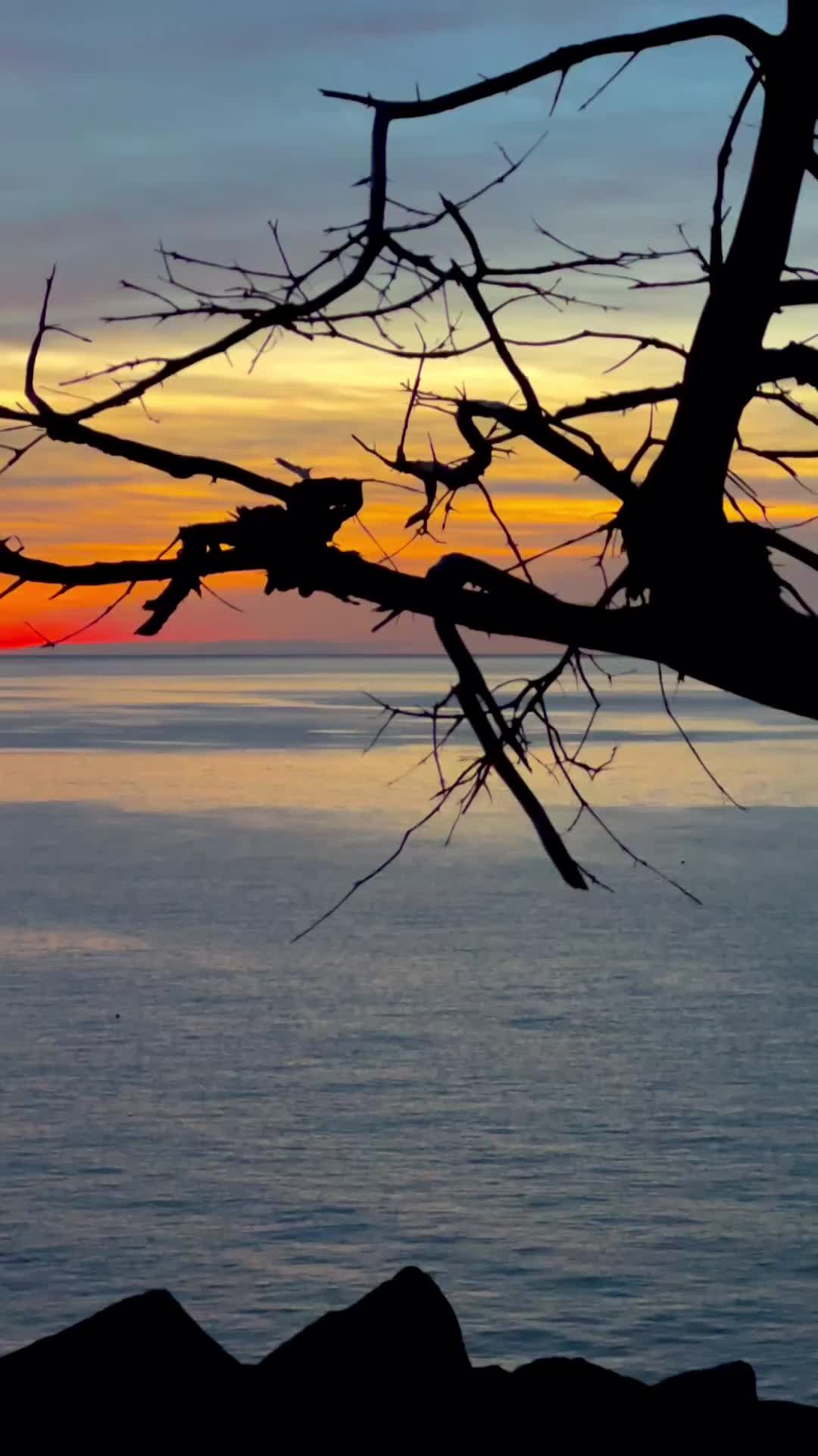 Sunrise at Boulder Beach, Acadia National Park