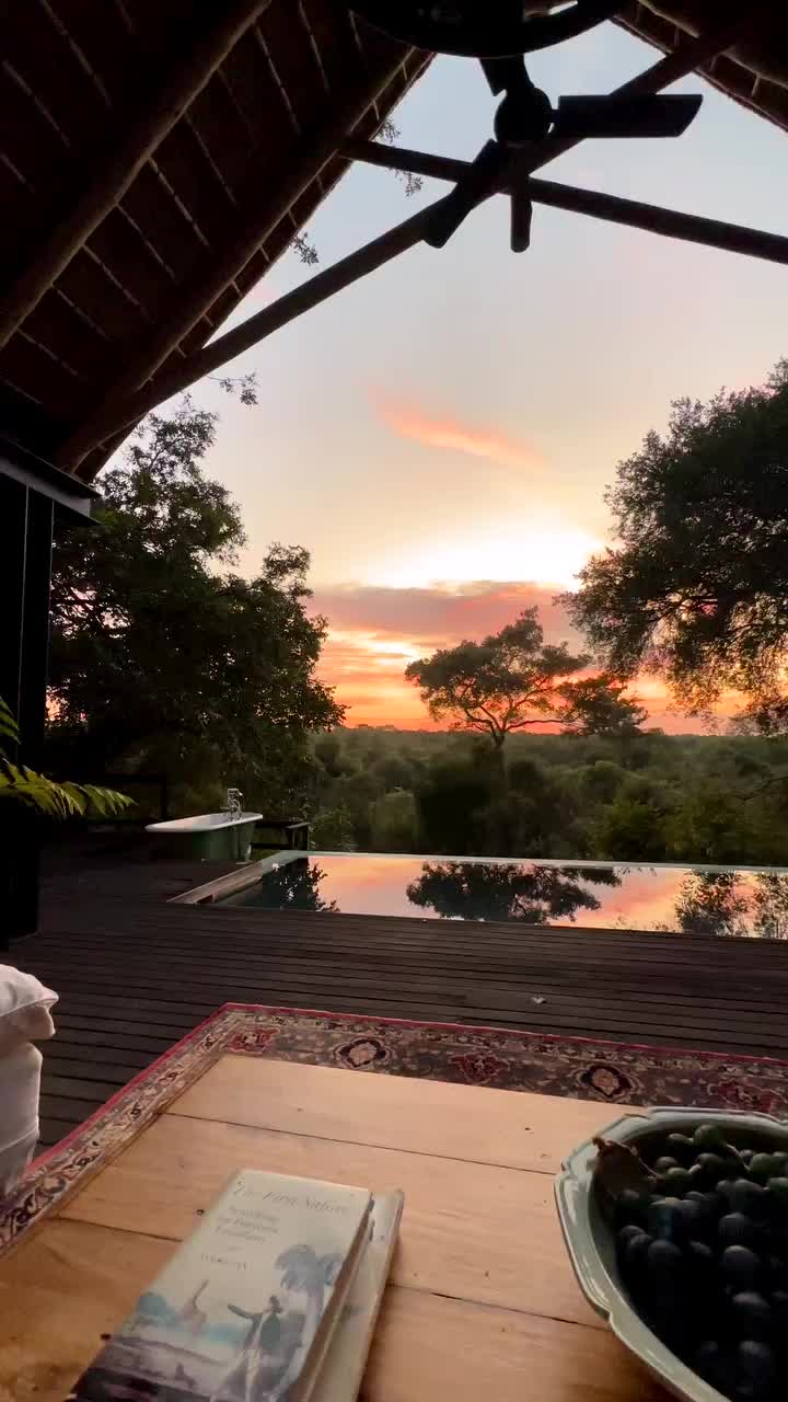 Good Morning Safari at Royal Malewane, South Africa