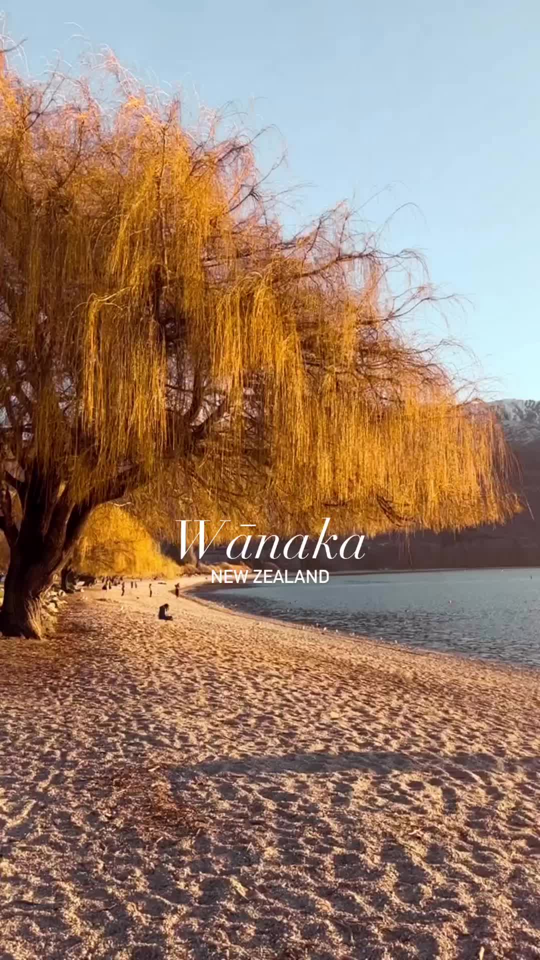 Discover Wānaka: New Zealand's Hidden Gem Town