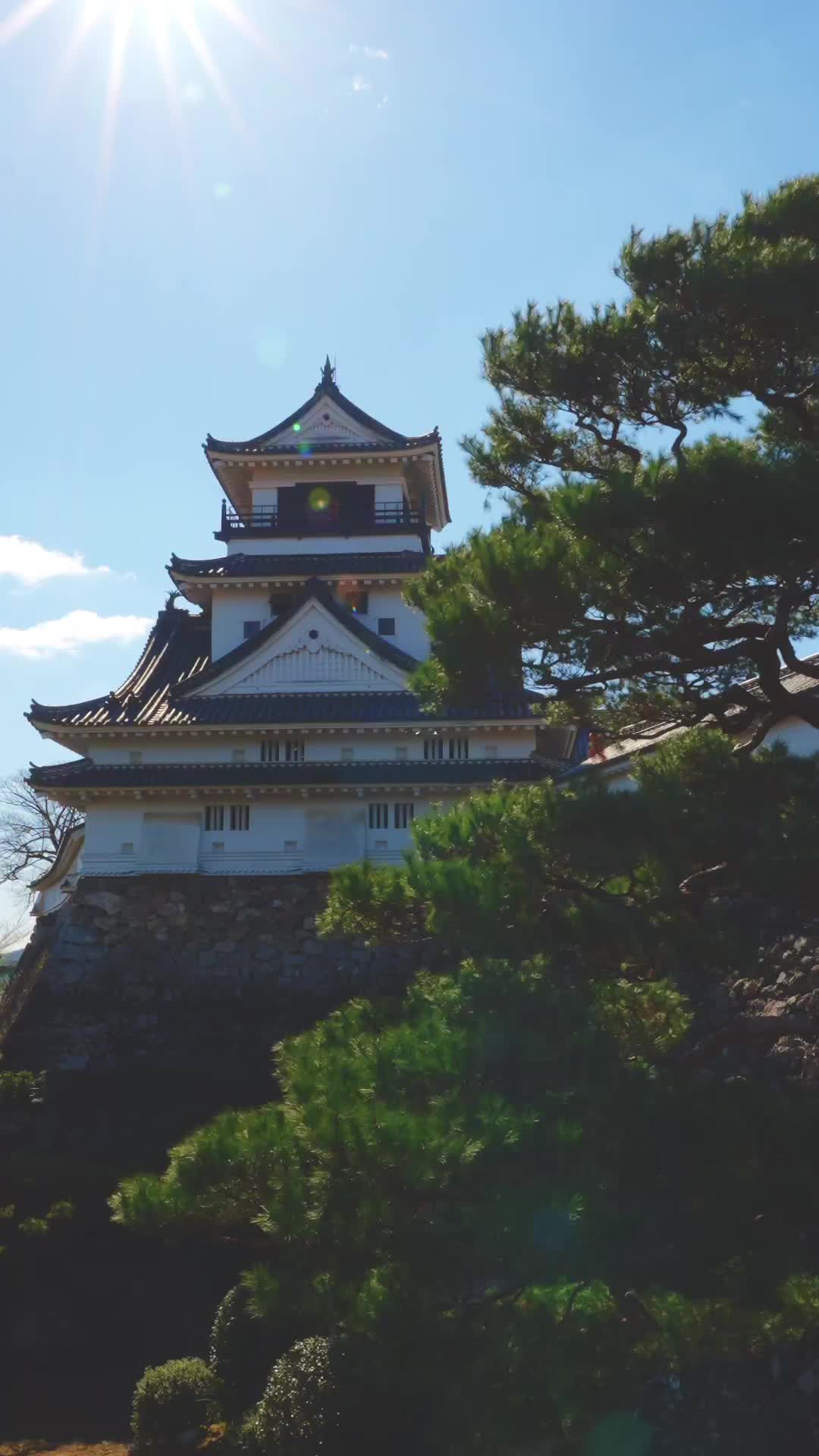 Discover Kochi Castle: Japan's Historic Hawk Castle