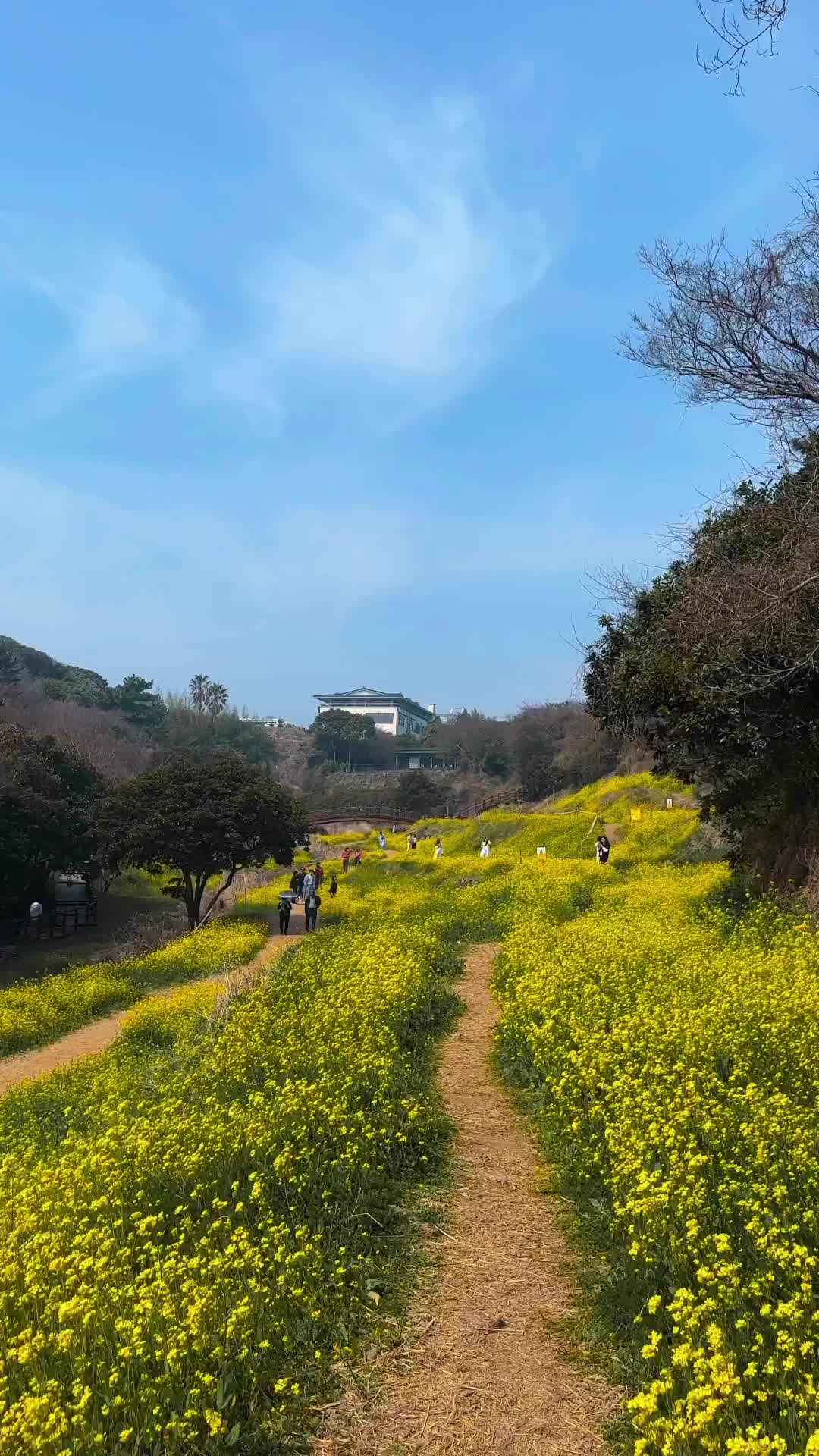 Exploring the Beautiful Eongdeongmul Valley in Jeju