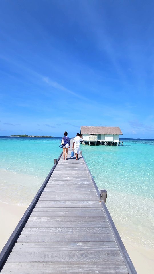 This resort in the Maldives is just INSANE 🤩🏝️

📍 @fsmaldives

-

Follow us ❤️ @toptravelplaces_ for more 👍

-

📸 Video taken by @toptravelplaces_

-

#maldives #fsmaldives #fourseasons #fsmoments #luxurytravel #beachvibes #luxuryresorts #beautifulmaldives #maldivesresorts #maldivesislands #overwaterbungalow #travel #traveldestination #travelinspiration #honeymoondestination #honeymoonideas #beachholiday