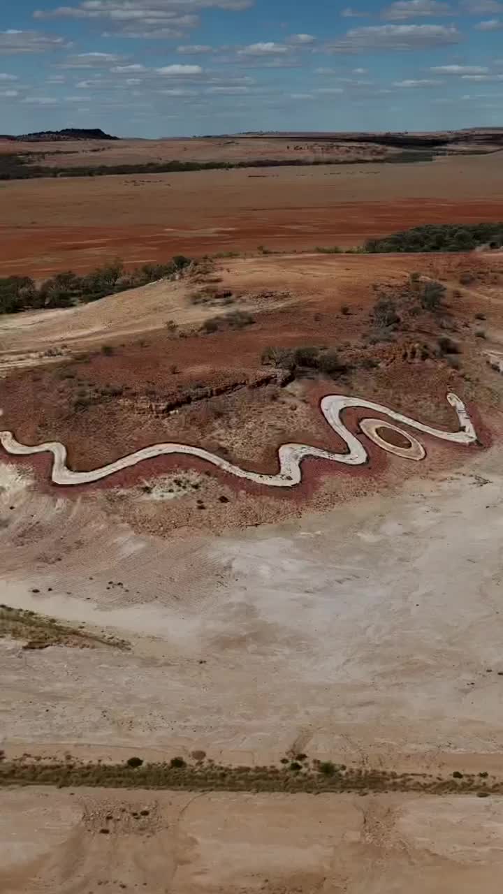 Dreamtime Serpent Basking in Betoota Sun