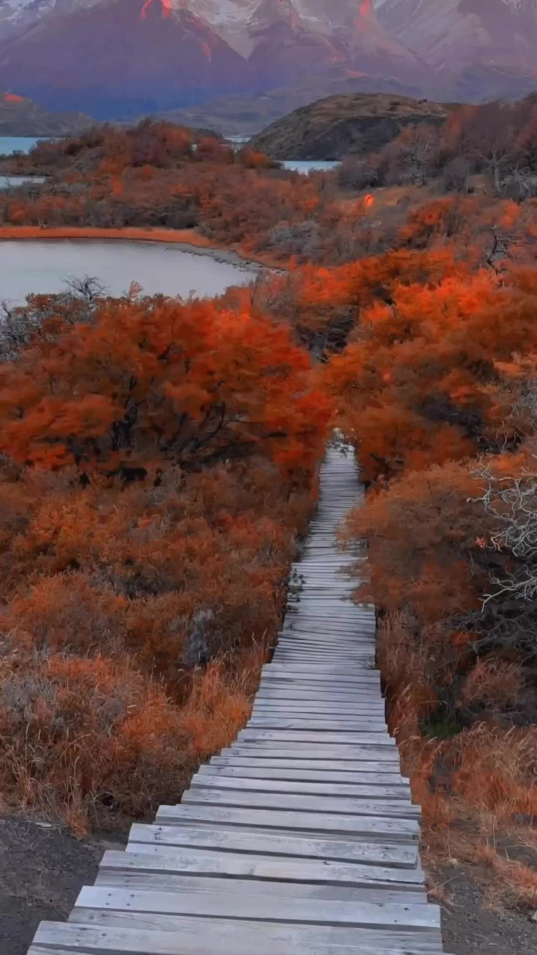 Patagonia sunrise ❤️
#patagonia #chile #torresdelpaine