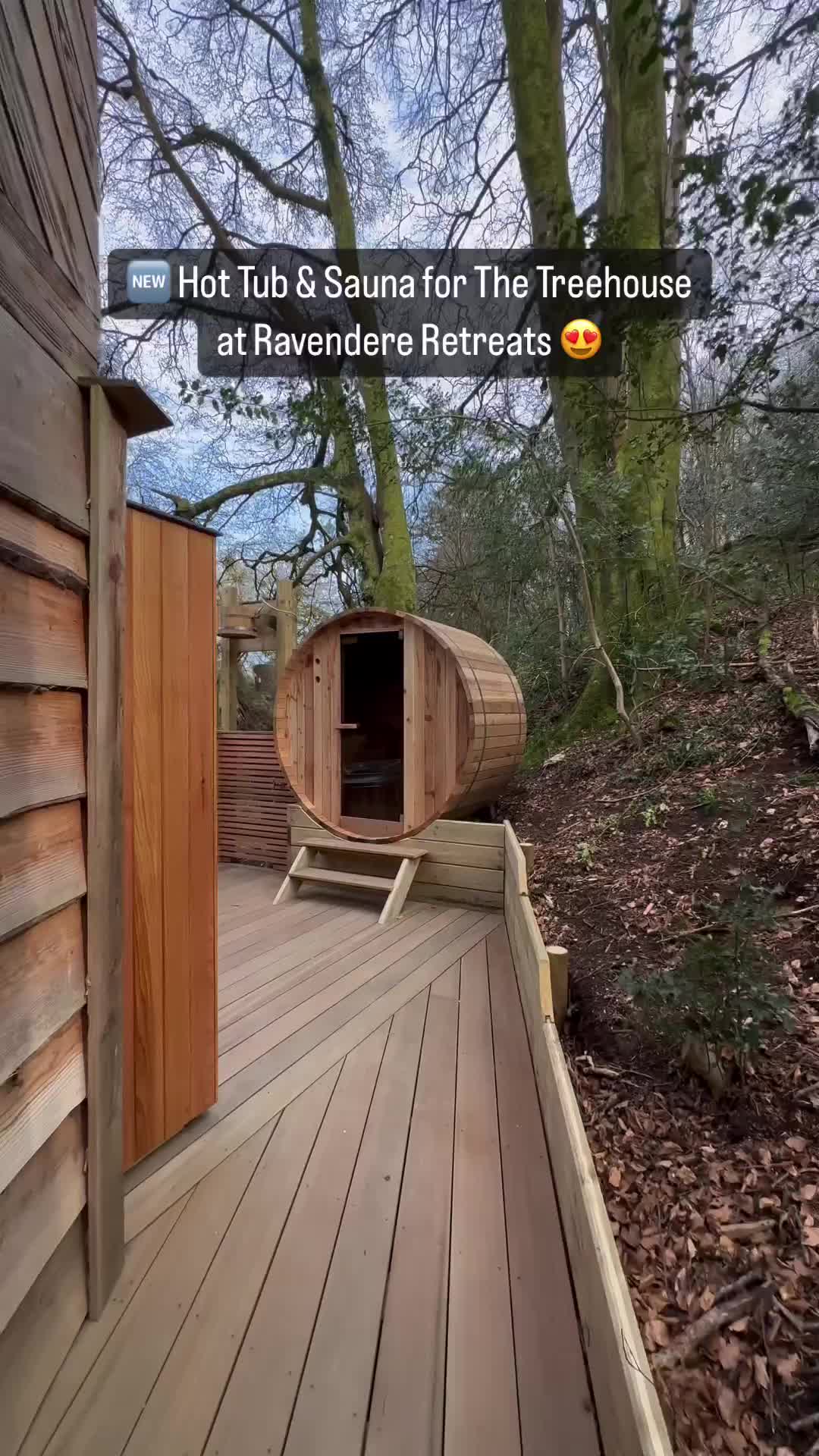 Treehouse Magic at Ravendere Retreats, Ilfracombe 🌳✨