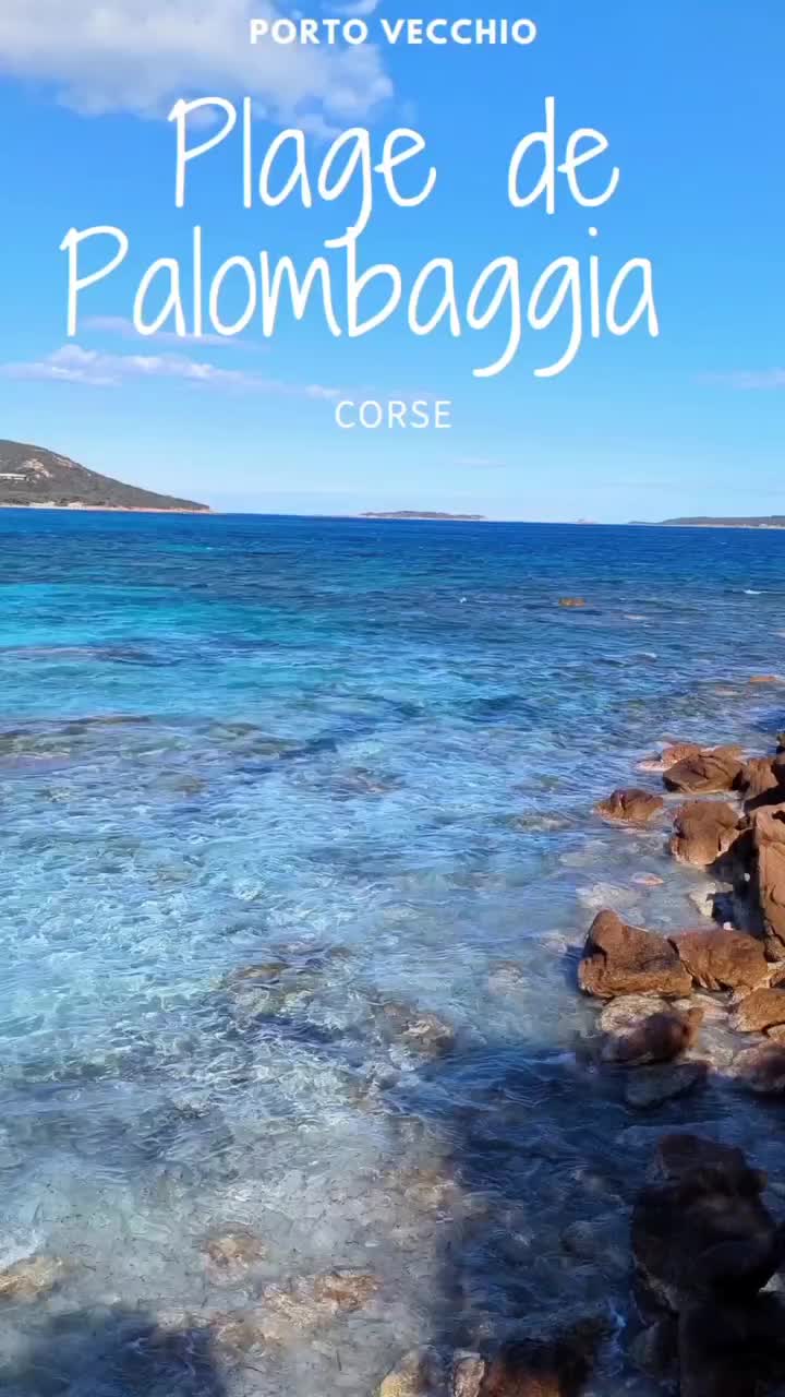 Discover Palombaggia Beach in Porto-Vecchio, Corsica