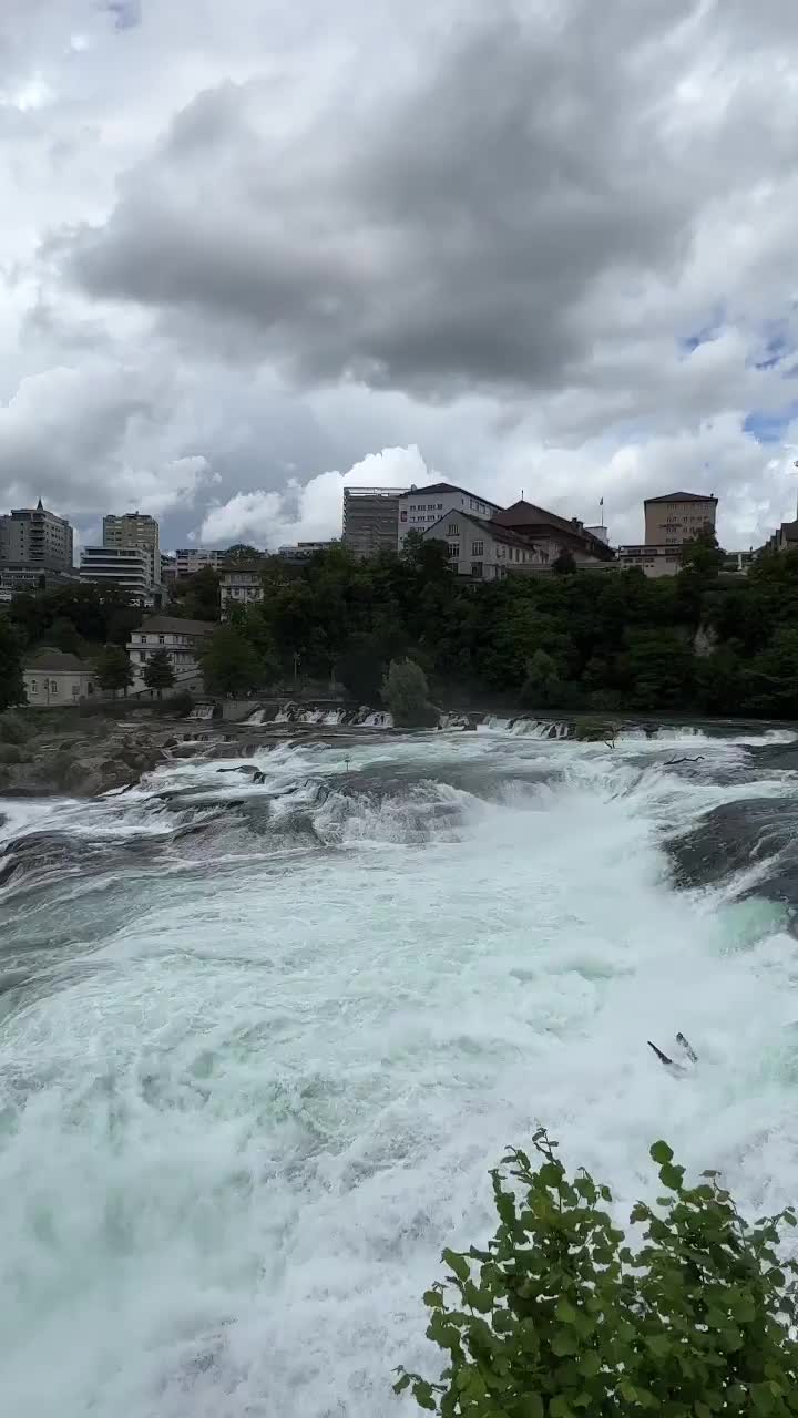 Discover the Majestic Rhine Falls in Switzerland
