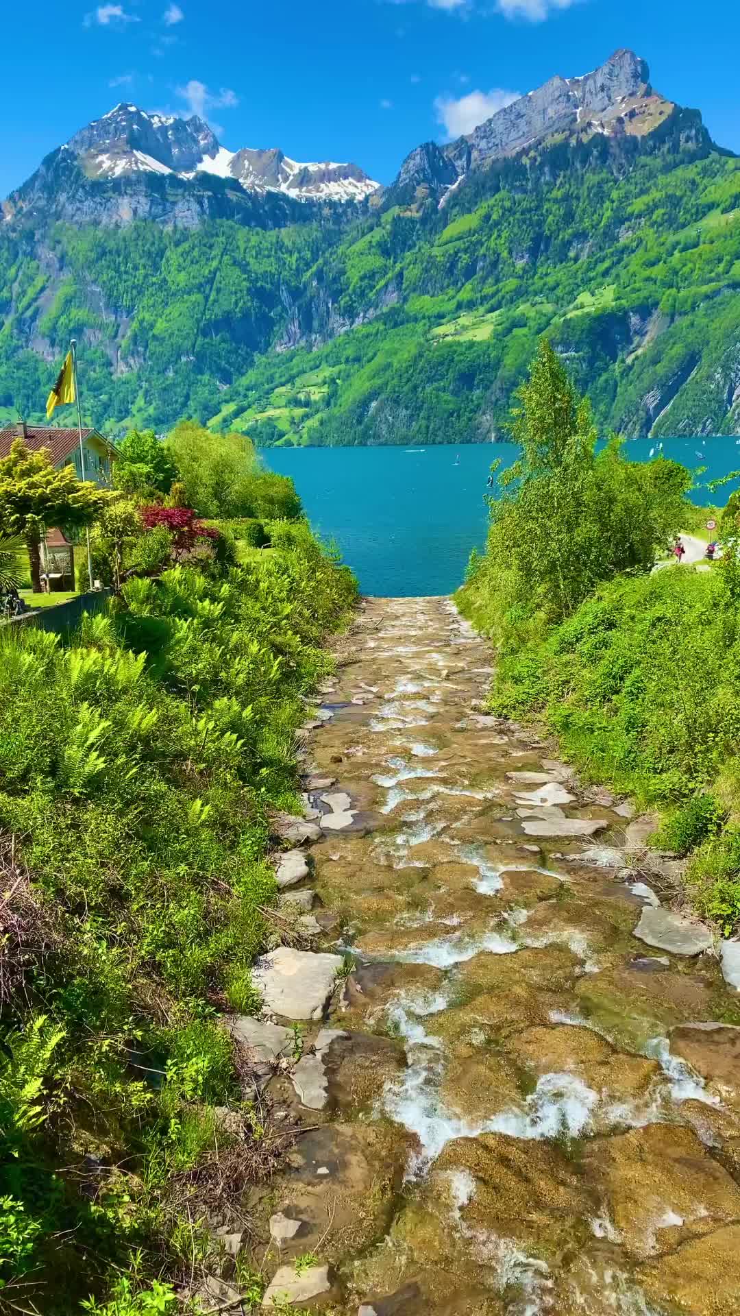 Discover the Beauty of Lake Uri, Switzerland 🇨🇭