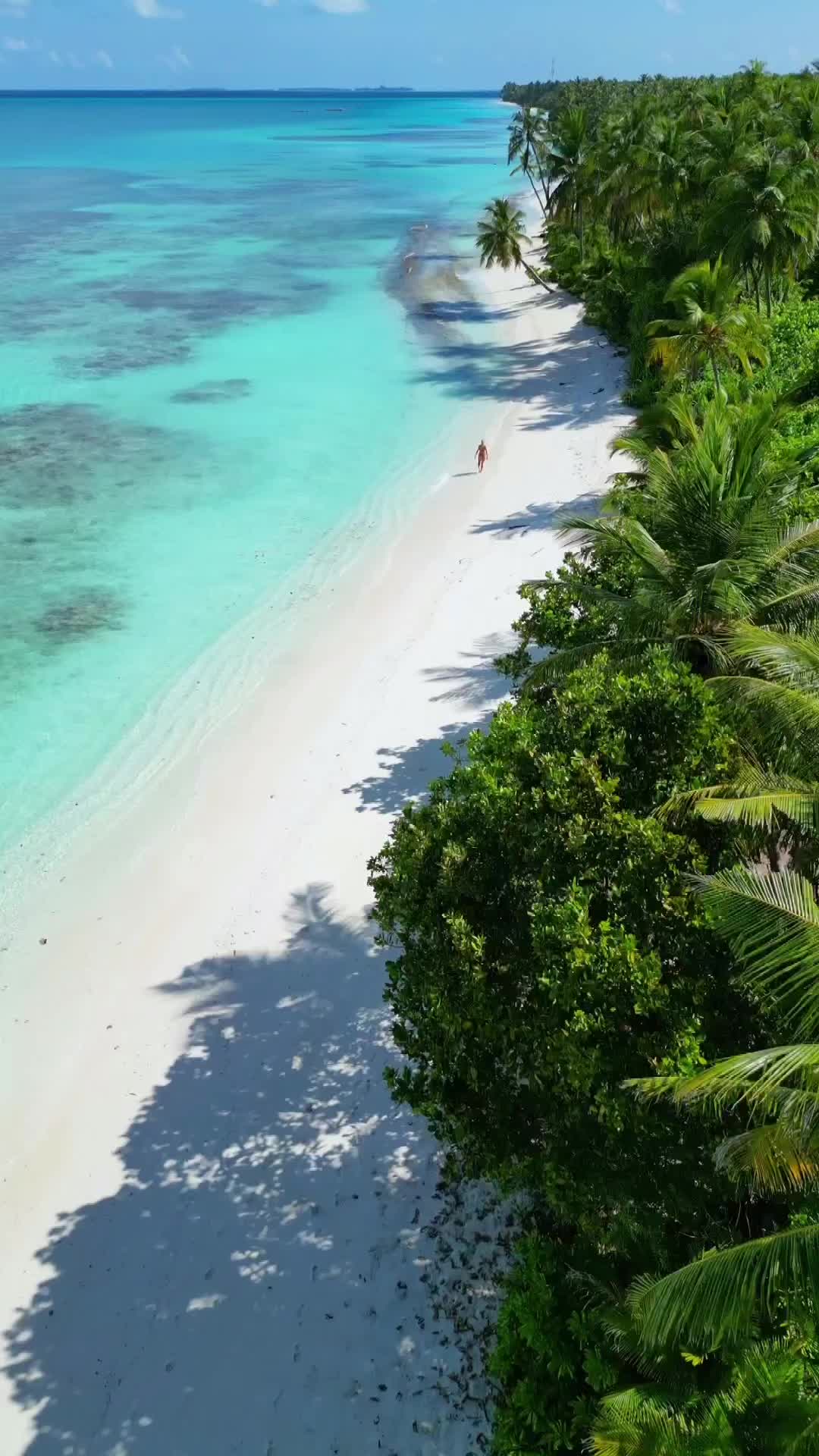 Summer & Ocean Lover's Paradise in the Maldives 🌴