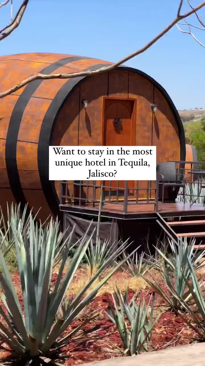 Sleep in a Tequila Barrel at Matices Hotel de Barricas