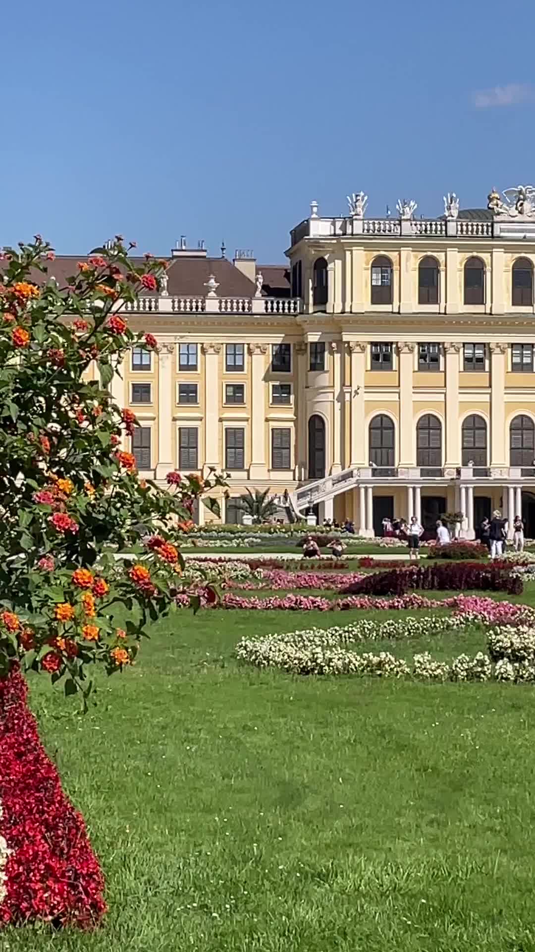 I giardini del castello di Schönbrunn 🇦🇹
•
Schönbrunn è stato la residenza estiva della casa imperiale d'Asburgo dal 1730 al 1918. 
Il suo ampio giardino è realizzato in stile barocco francese. La visita del parco è gratuita. L’ingresso è a pagamento solo per alcune attrazioni come il Giardino del principe ereditario, il Giardino dell’Orangerie, il Labirinto, il Giardino zoologico, l’accesso alle terrazze della Gloriette e la Serra delle Palme.
•
•
#vienna #schlossschönbrunn #schönbrunn #giardini #wienliebe #wien #viennatouristboard #austria #viennaaustria #viennagram #wien_love #viennacity #igersvienna #vienna_austria #travelreels #travelgirldiary #reelsofinstagram #travelreelsoninstagram #beautifuldestinations #travellingthroughtheworld