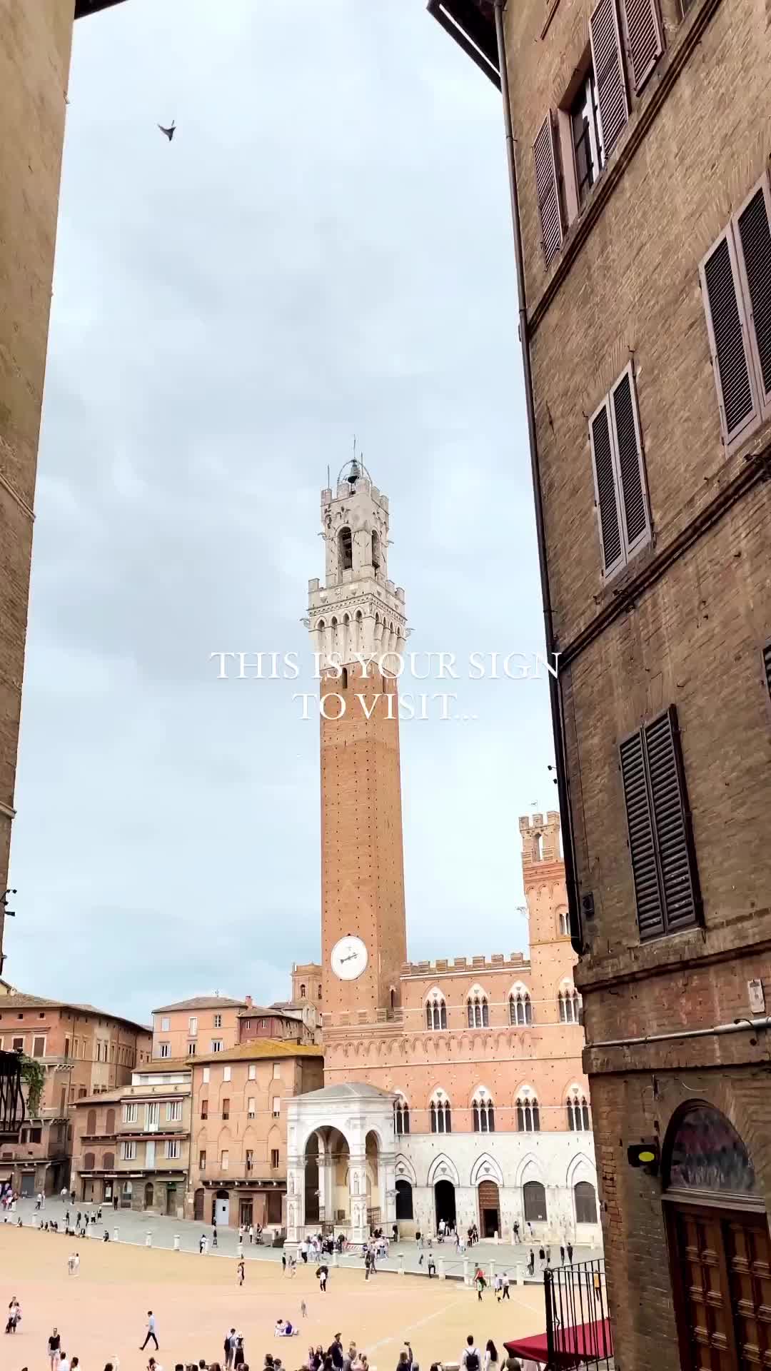 Discover Siena: Top Spots for Food, Views, and History