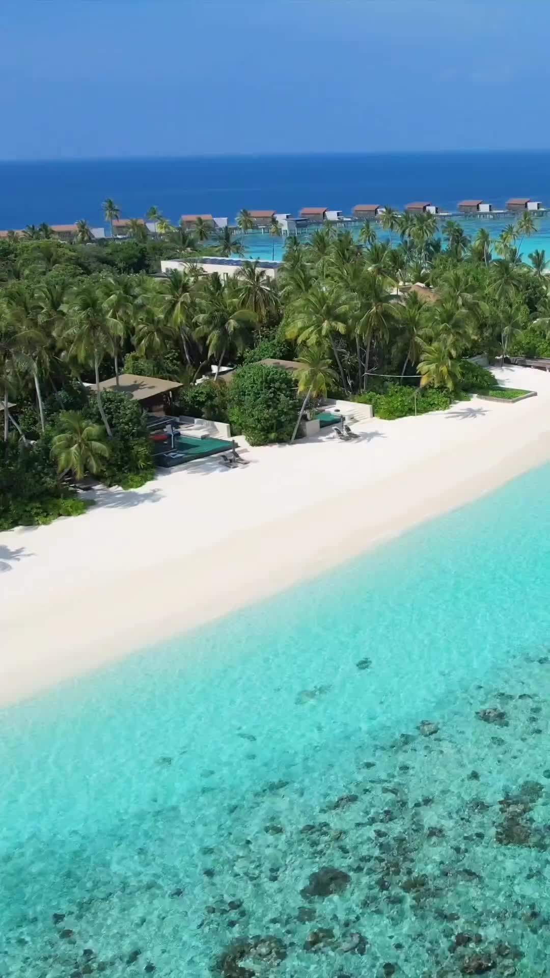 Discover Paradise at Park Hyatt Maldives Hadahaa