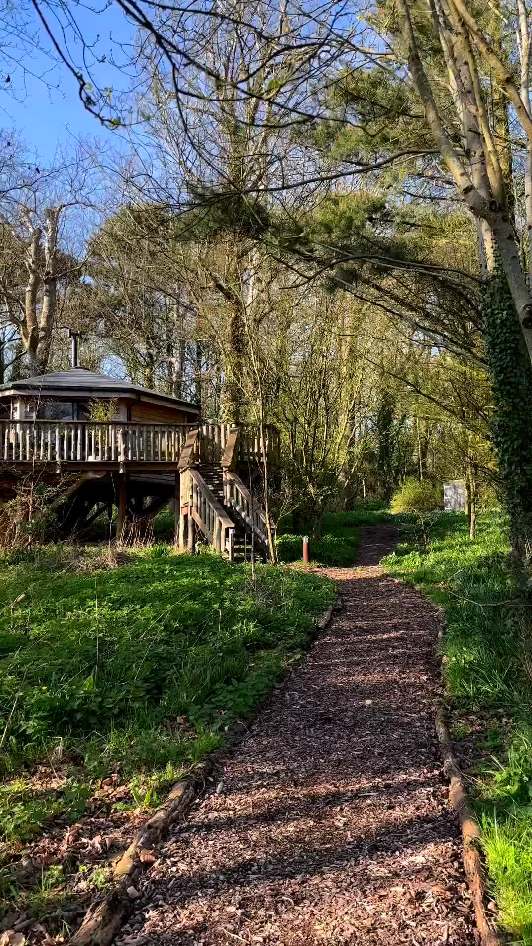 Discover Luxury Treehouse Living at Pickwell Manor