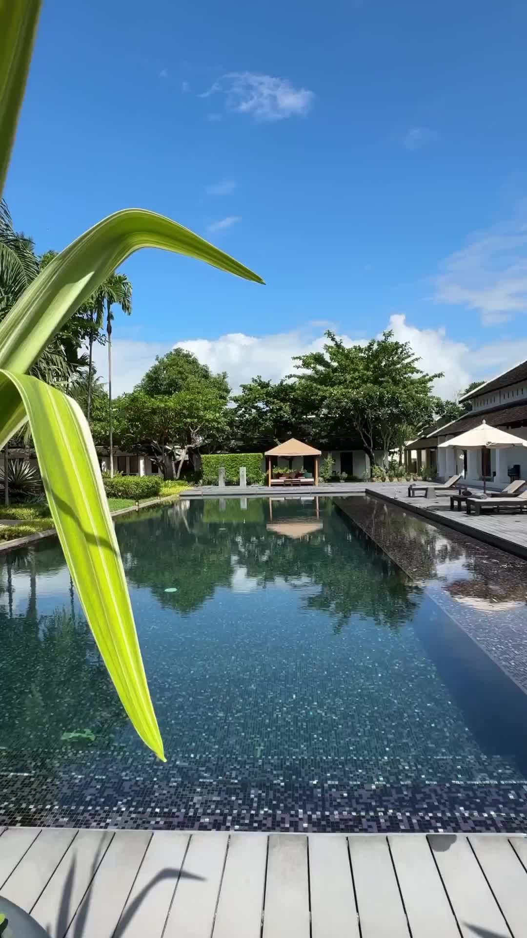 Welcome to Sofitel Luang Prabang, a luxury sanctuary in the heart of Unesco World Heritage city, Luang Prabang 

📍 @sofitelluangprabang Luang Prabang, Laos

#sofitel #sofitelluangprabang #all #southeastasia #tlasia #beautifulhotels #luxuryhotels #travelasia