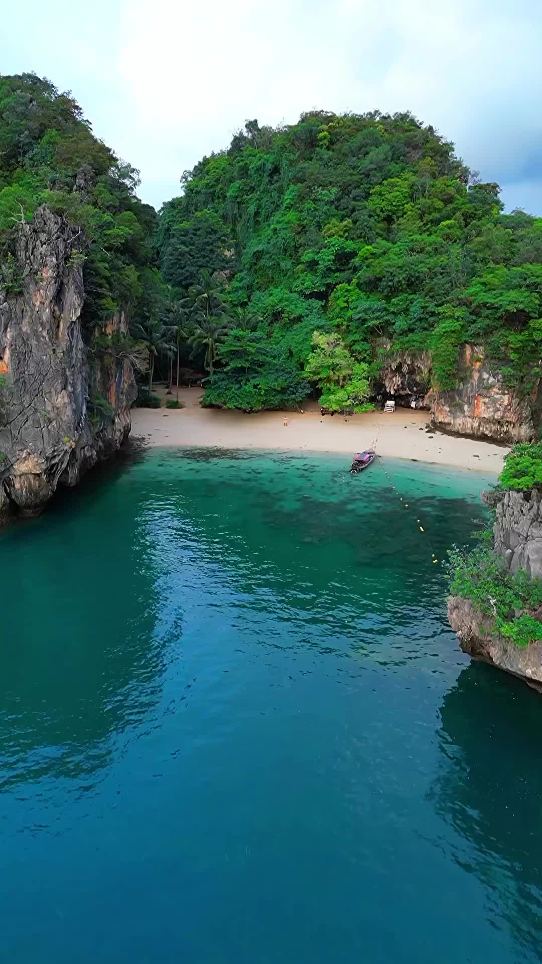 Lost in the wild nature of tropical islands 🌴🌿
📍Koh Lao Lading 🏝️ Krabi , Thailand 🇹🇭 
.
.
.
.
.
#thailand #thailandia #thailande #tailandia #travelthailand #thailandtravel #krabi #kohlaolading #beachvibes #islandlife #nature #wildlife #boatlife #naturelovers #palmtrees #lostinnature #natureza #islandvibes #beachlife #exploring