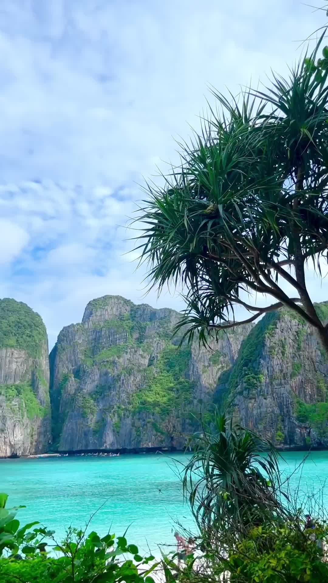 Tropical Vibes at Maya Bay, Phi Phi Island 🌴🌊