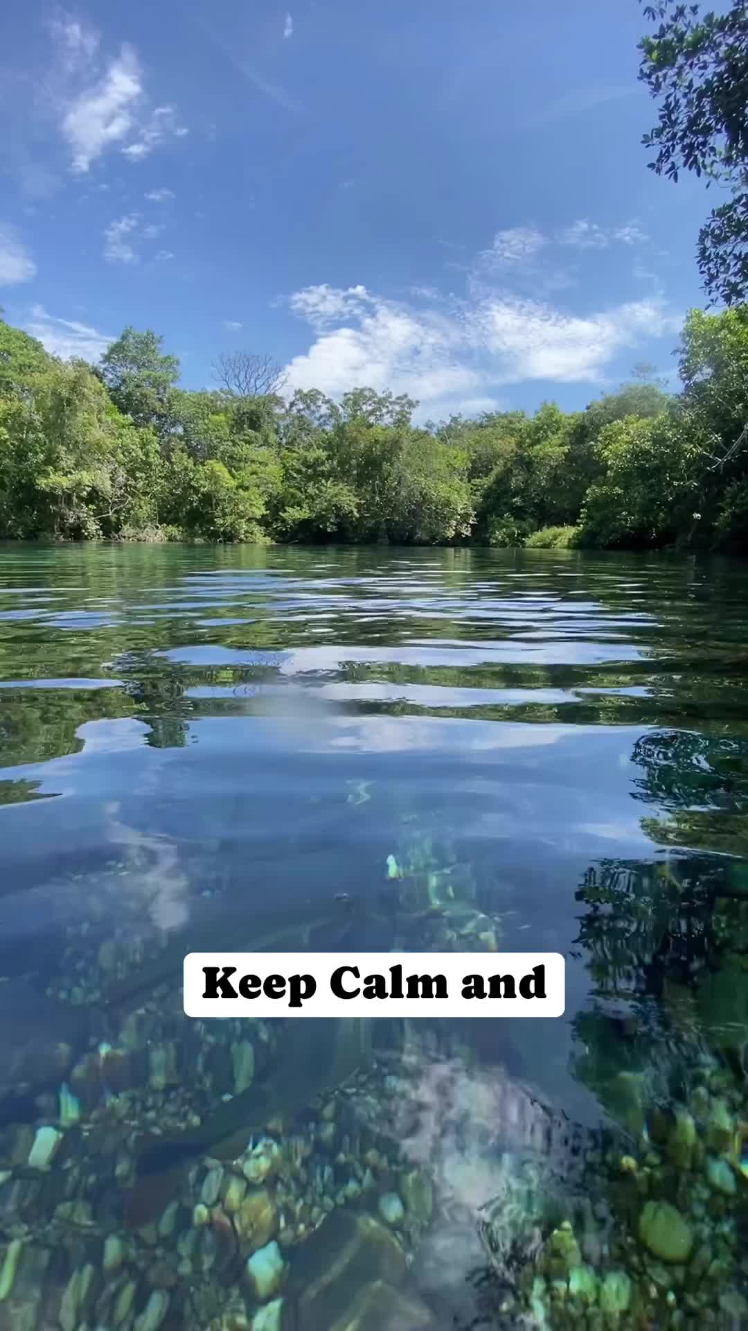 As flutuações nos rios de Bonito são inexplicáveis! Parece que você está mergulhando em um enorme aquário natural. Só vivendo essa experiência pra entender.

👉Ei você, tá esperando o que para viver as melhores experiências comigo em uma expedição de verdade em Bonito e Pantanal?

As pré-reservas já estão liberadas! A viagem será de 4 a 14 de abril e será apenas UM único grupo! As vagas são limitadas e super concorridas.

👉Tem interesse? No link do meu perfil tem todas as informações sobre o roteiro completo e valores. Faça contato comigo pra garantir sua reserva 😉 👍

#bonito #bonitoms #pantanal #pantanalms #pantanalsul #pantanalsulmatogrossense #matogrossodosul #Brasil #mtur #bonitoepantanal #expedicao #expedition #vidaselvagem #fotografia #fotobrasil #expedicaofotografica