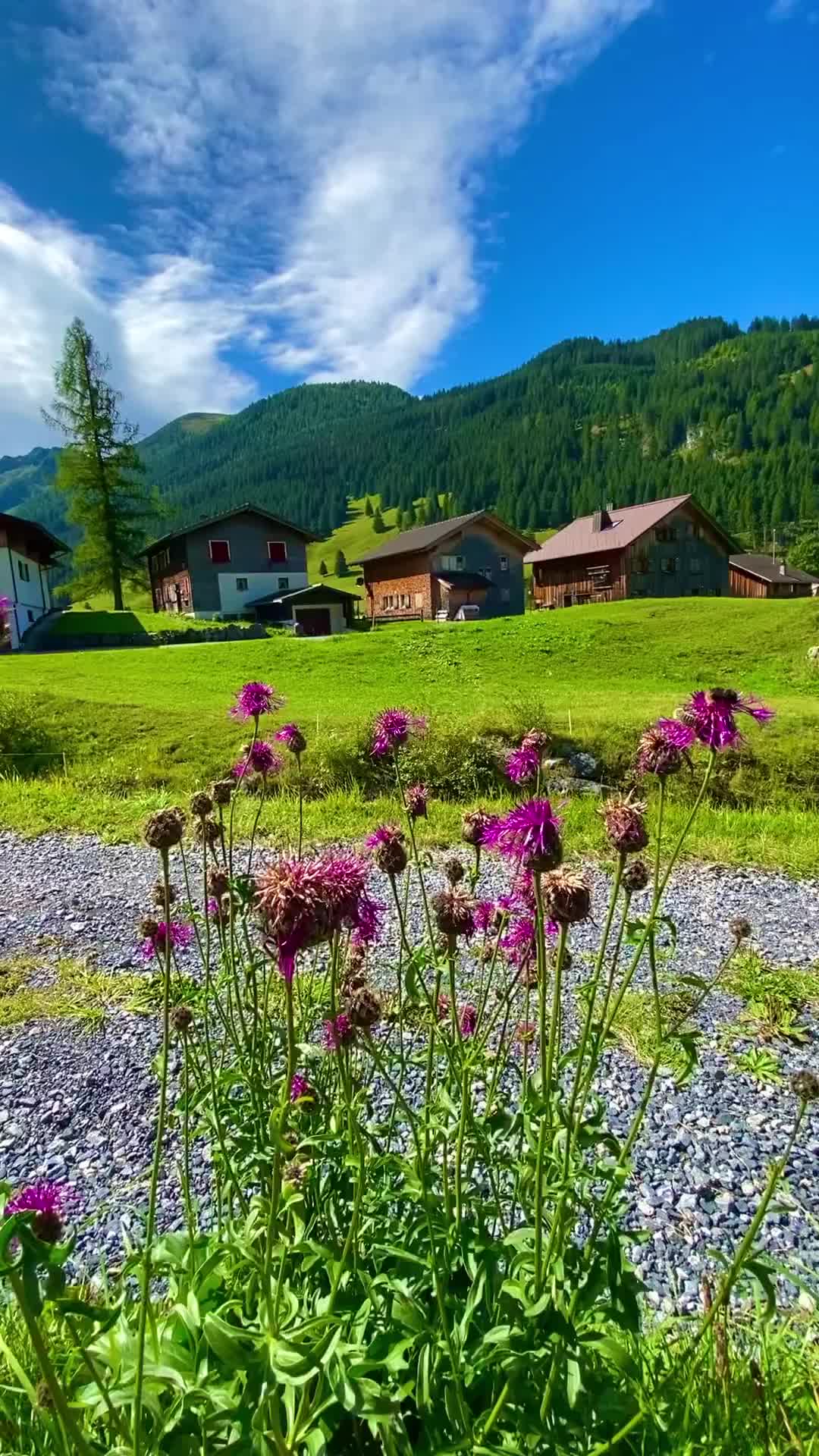 Steg: An Idyllic Village in Liechtenstein's Alps