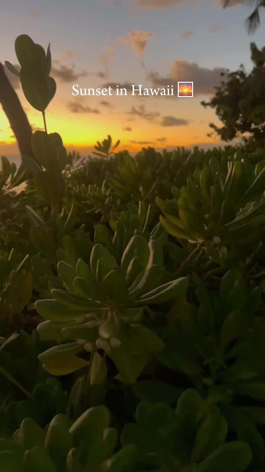 Stunning Hawaiian Sunsets in Kona - Luxury Travel Tips