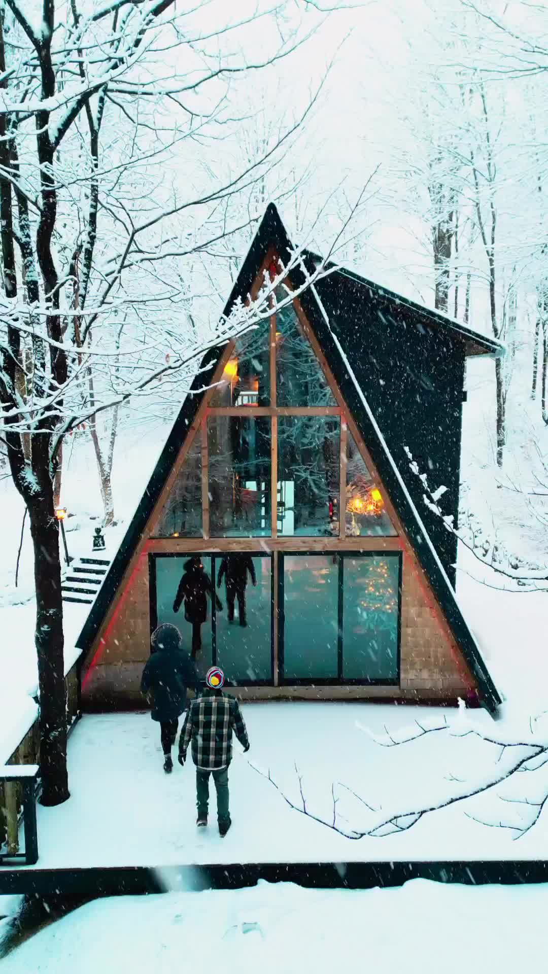 Cozy Cabin Retreat: Enjoy Snowy Views Indoors