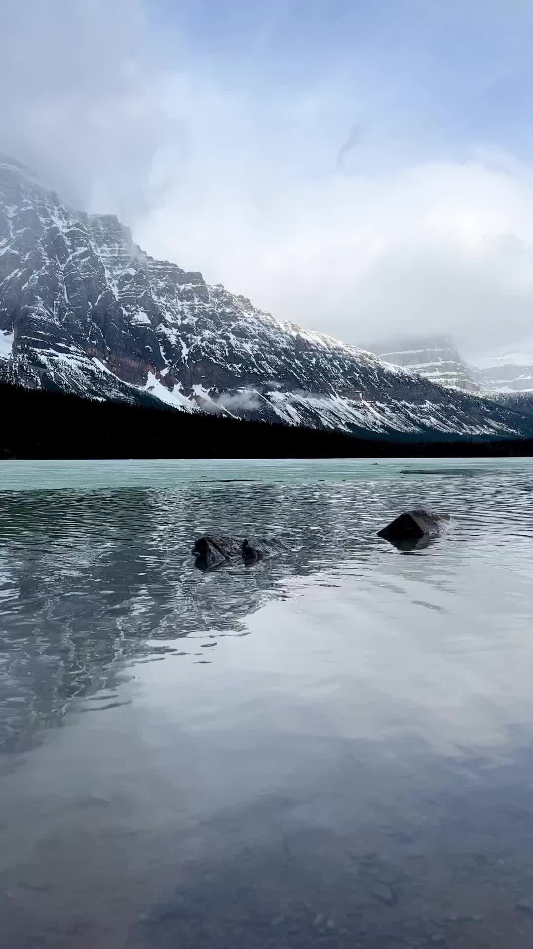 Serenity at Banff National Park: Winter Wonderland
