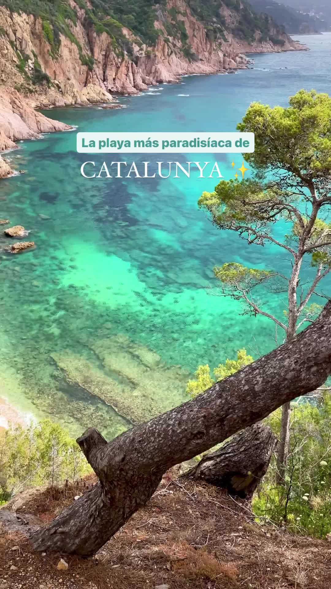 Discover the Most Idyllic Beach in Catalonia