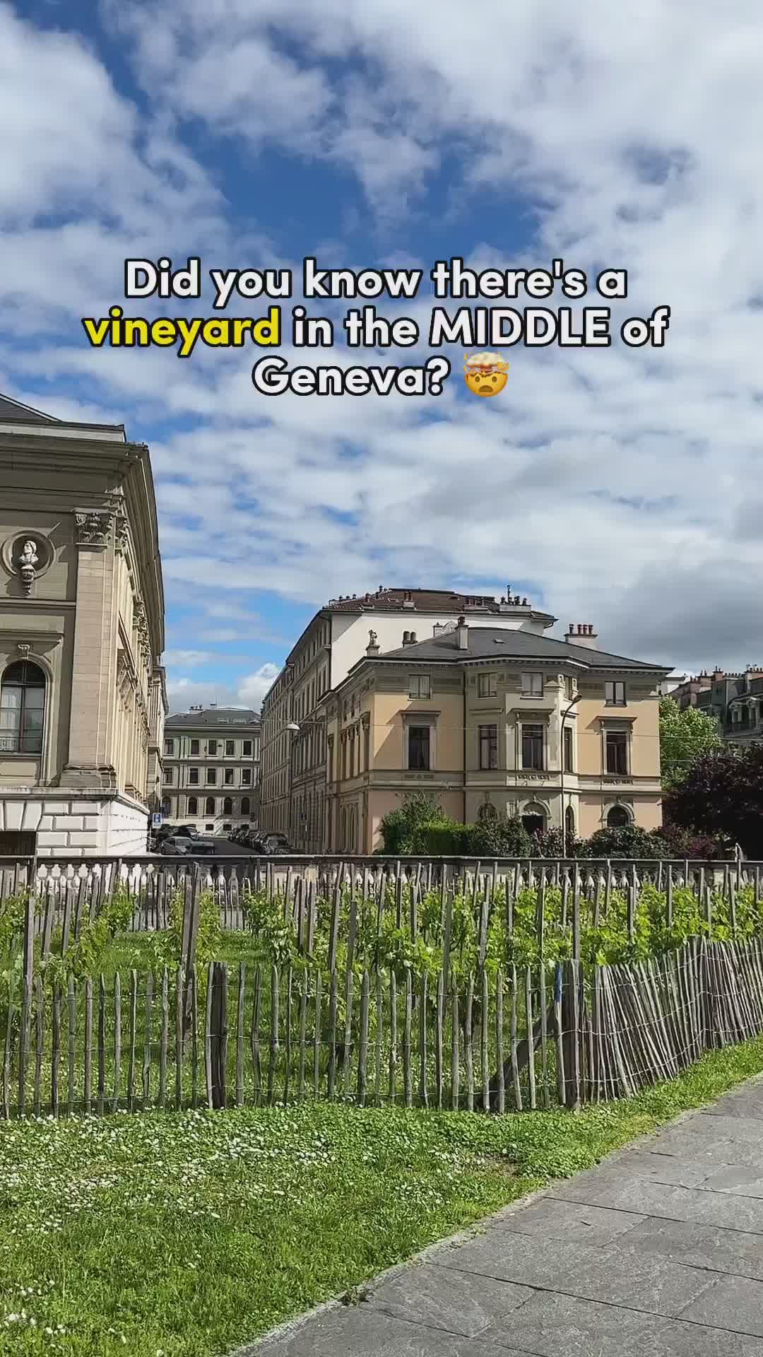 Discover Geneva's New Wine Tour at Palais Eynard