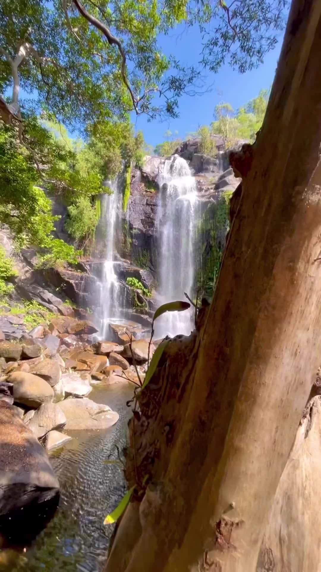 Frolicking at Trevethan Falls, 30 Mins from Cooktown