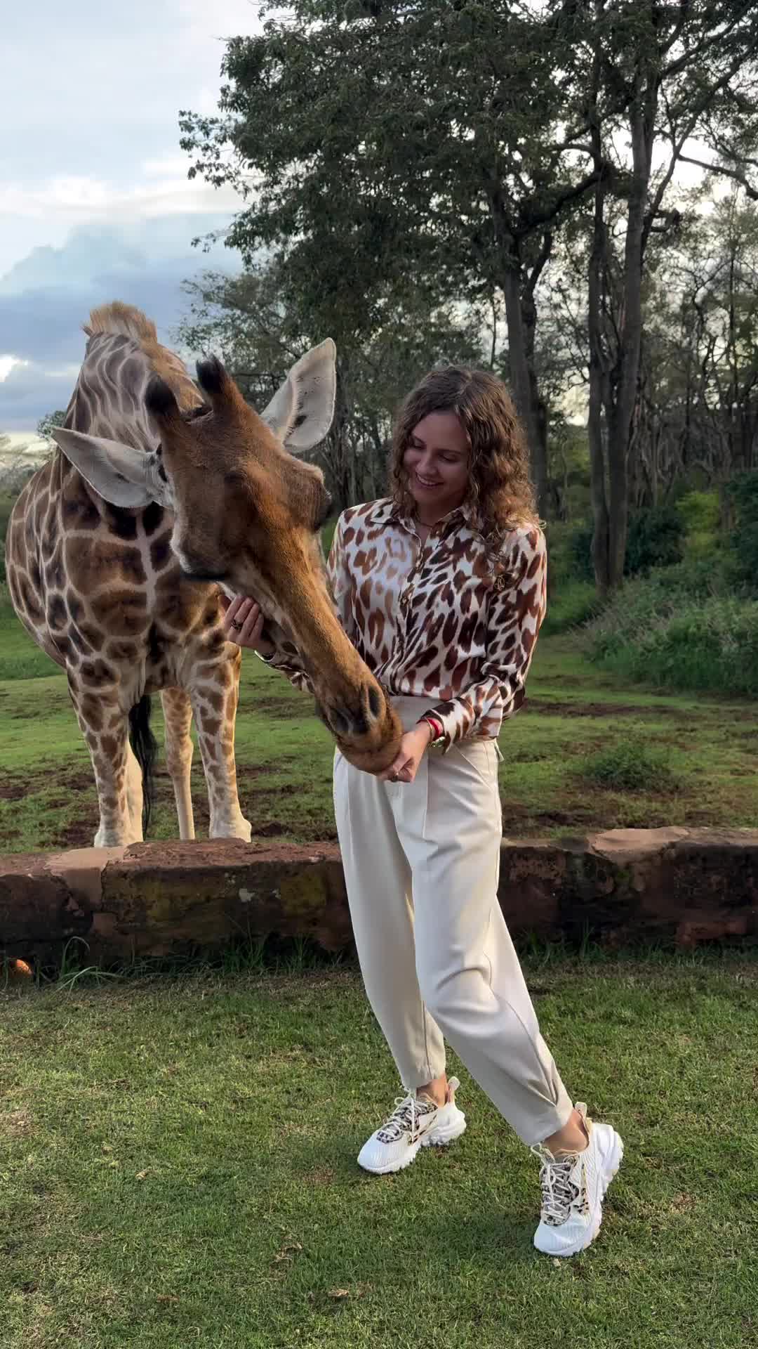 Experience Giraffe Manor in Nairobi, Kenya