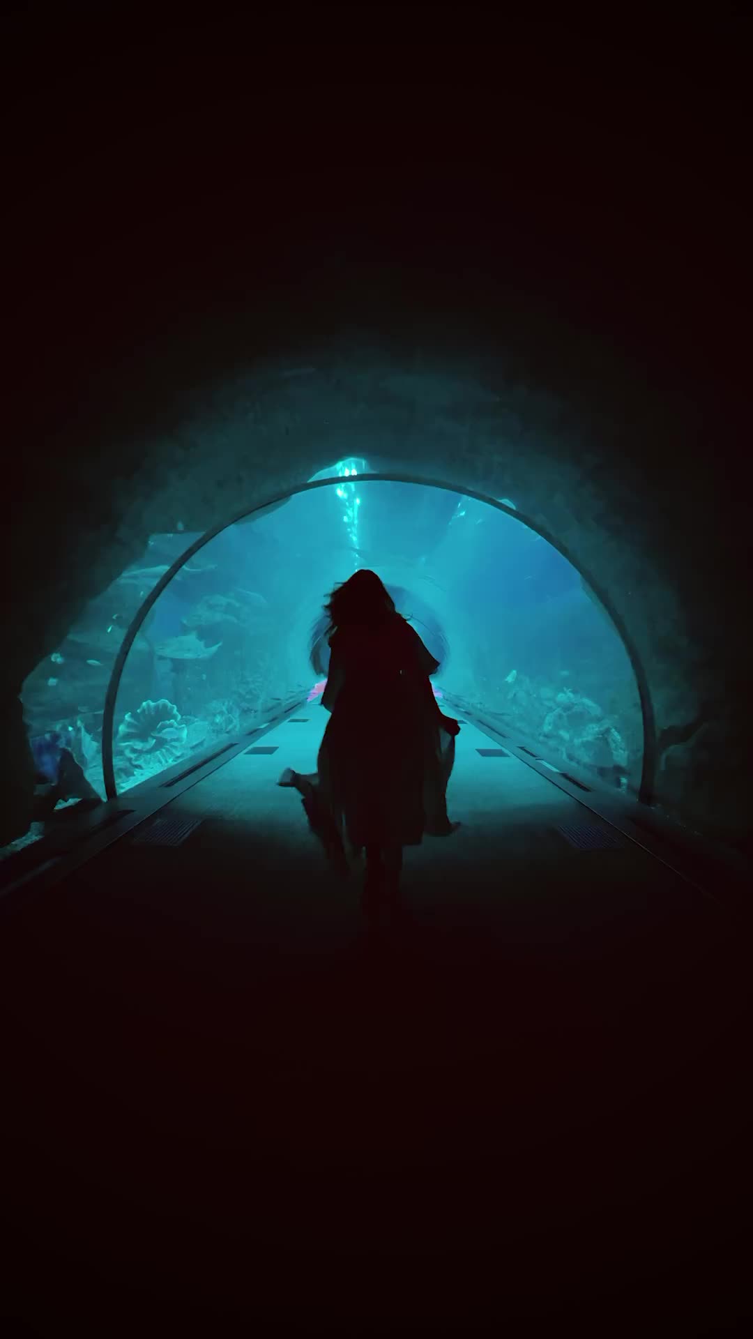 Skating Underwater at Dubai Aquarium 🛼🐠