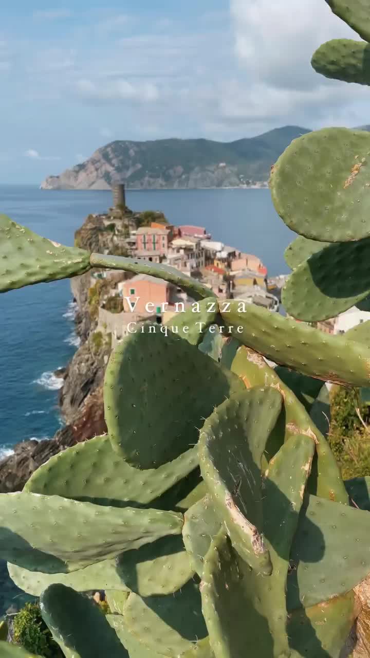 Dream of Italian Summers in Vernazza, Cinque Terre