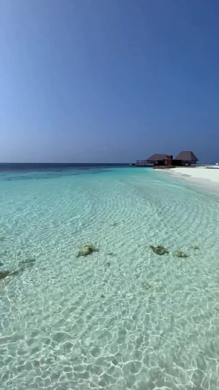 Picture-Perfect Crescent Beaches at W Maldives 💙