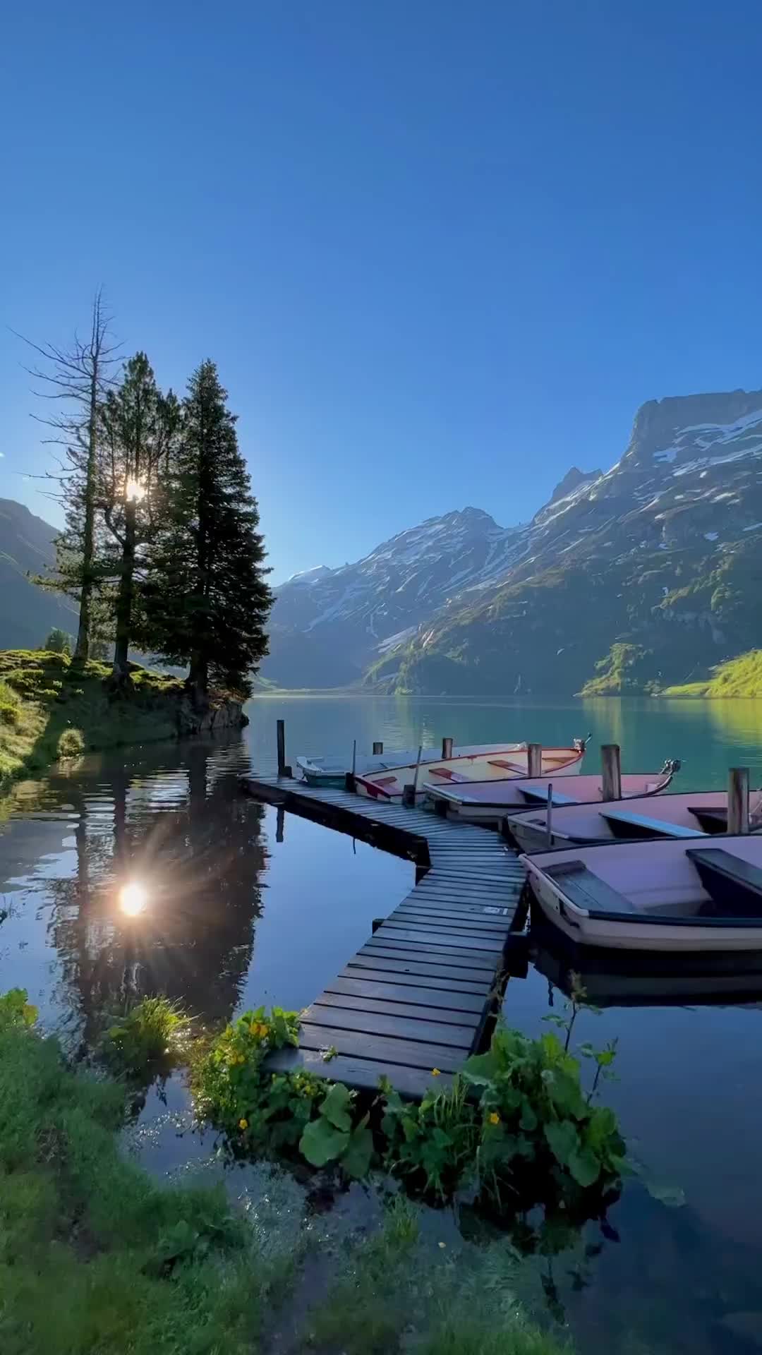 Nature of Switzerland: Scenic Beauty in Kanton Bern