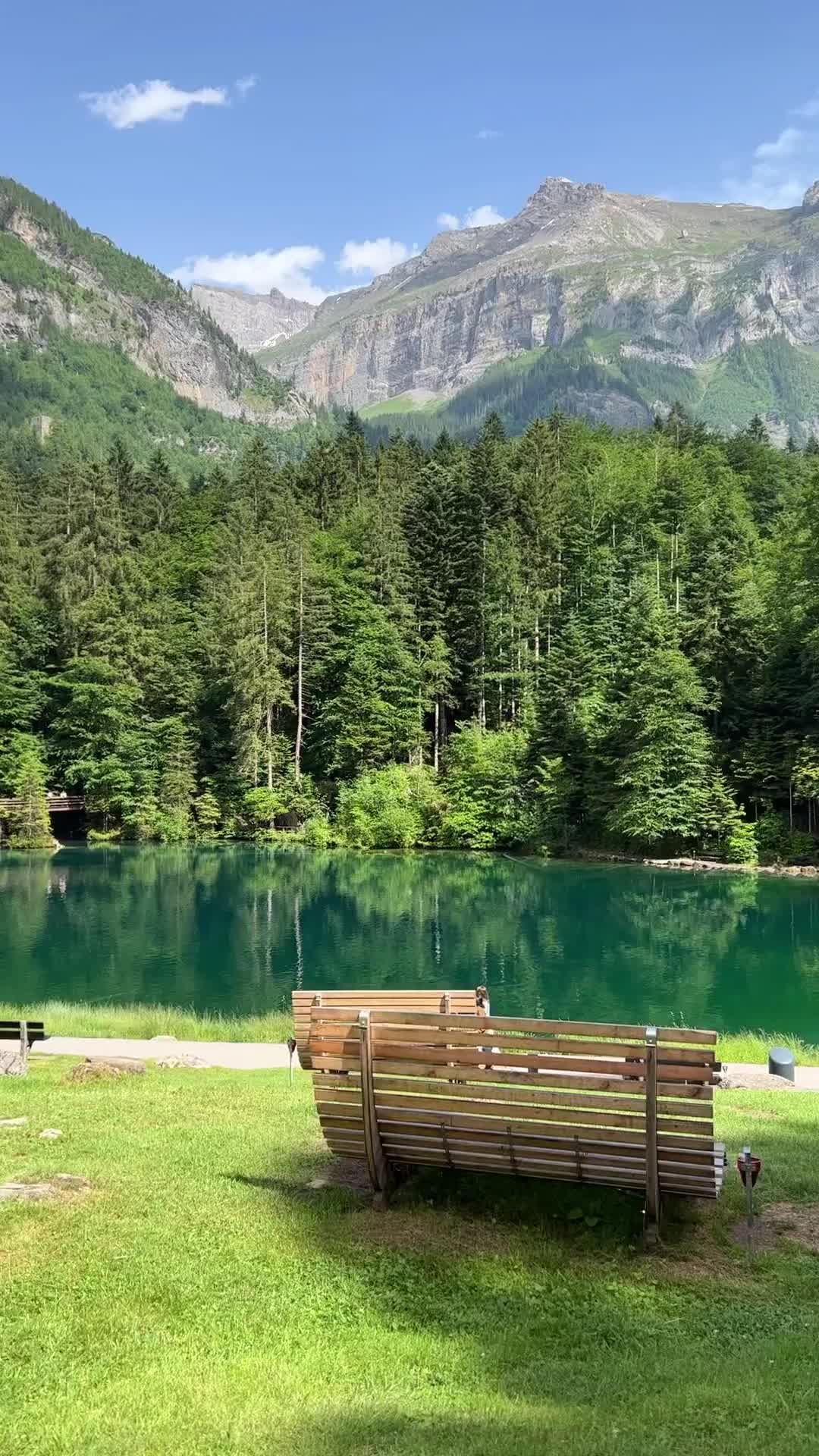 Discover Blausee: Switzerland's Scenic Gem