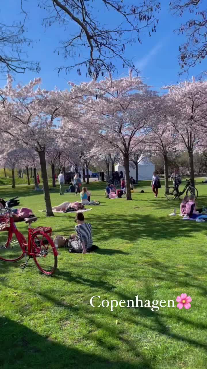 Springtime Blossoms in Copenhagen's Parks