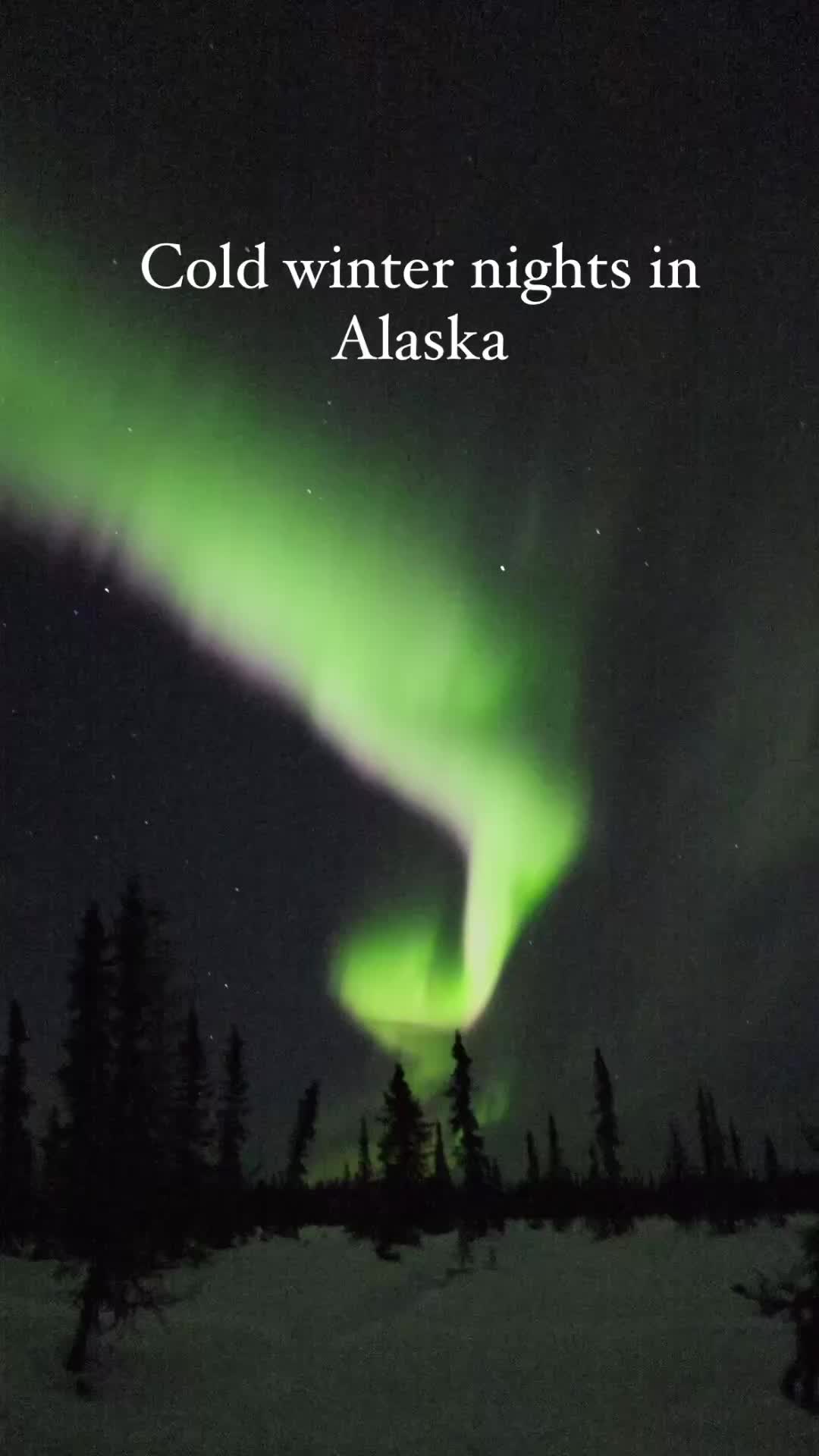 Aurora Borealis in Freezing Fairbanks Night Sky
