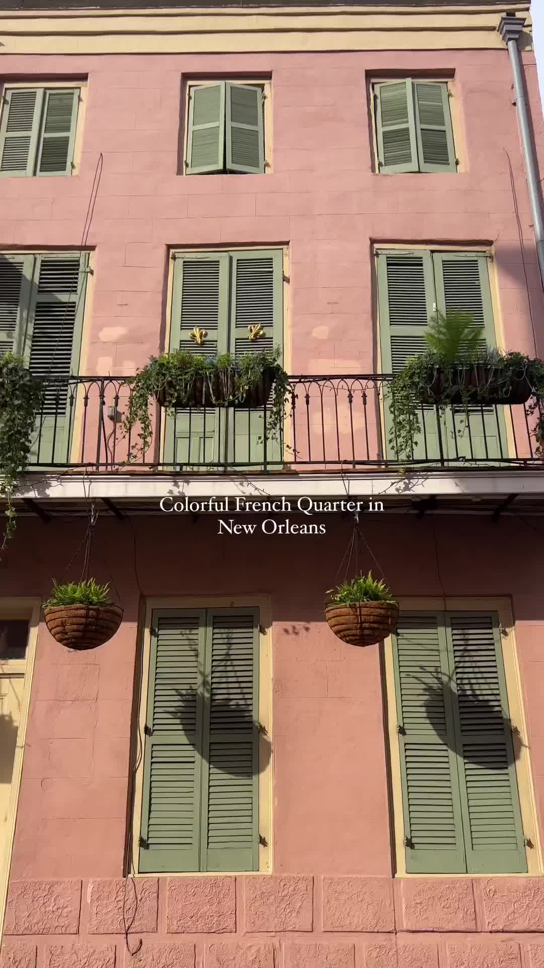 Colorful French Buildings & Balconies in NOLA