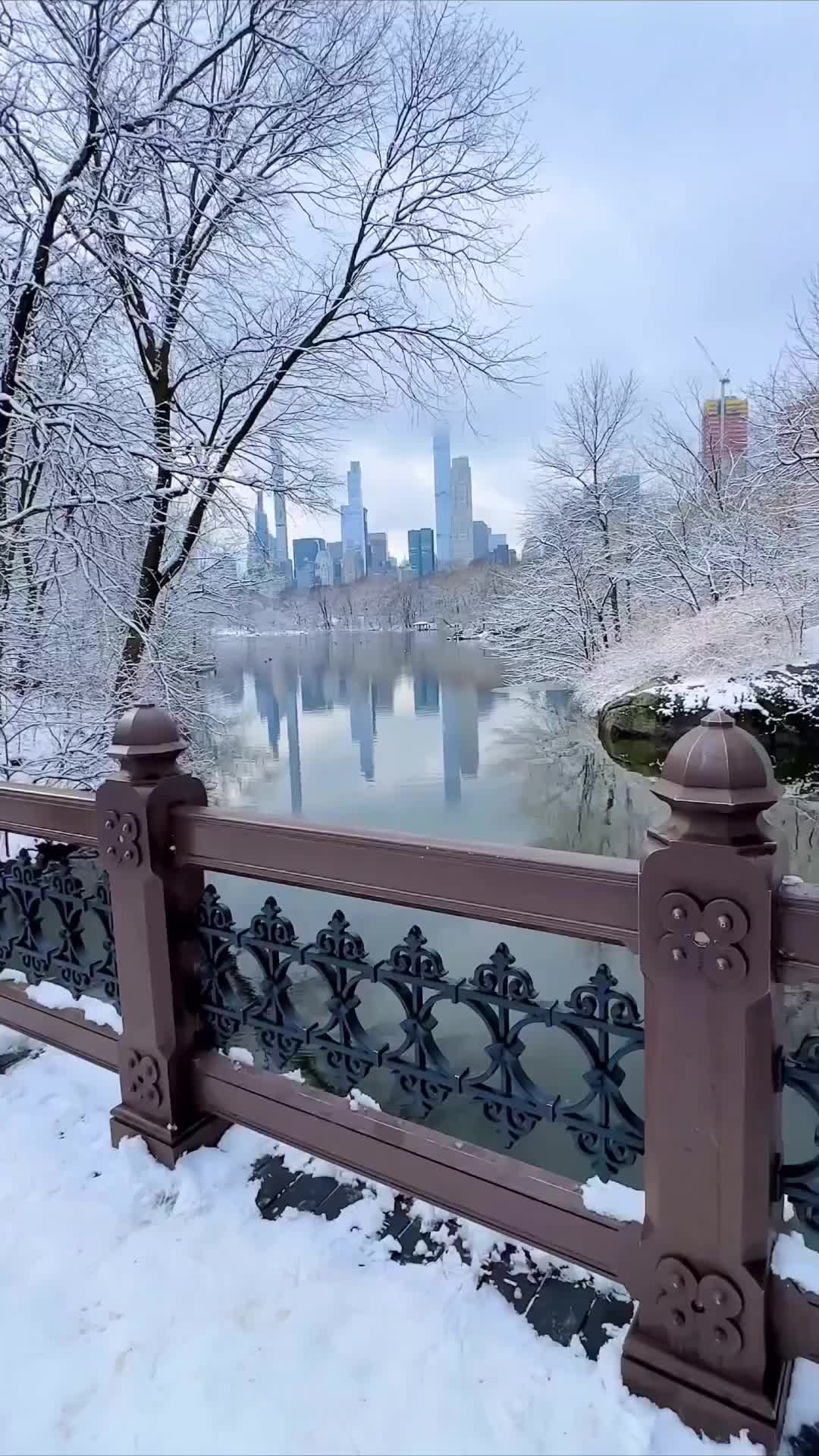 Stunning Winter View from Oak Bridge in Central Park