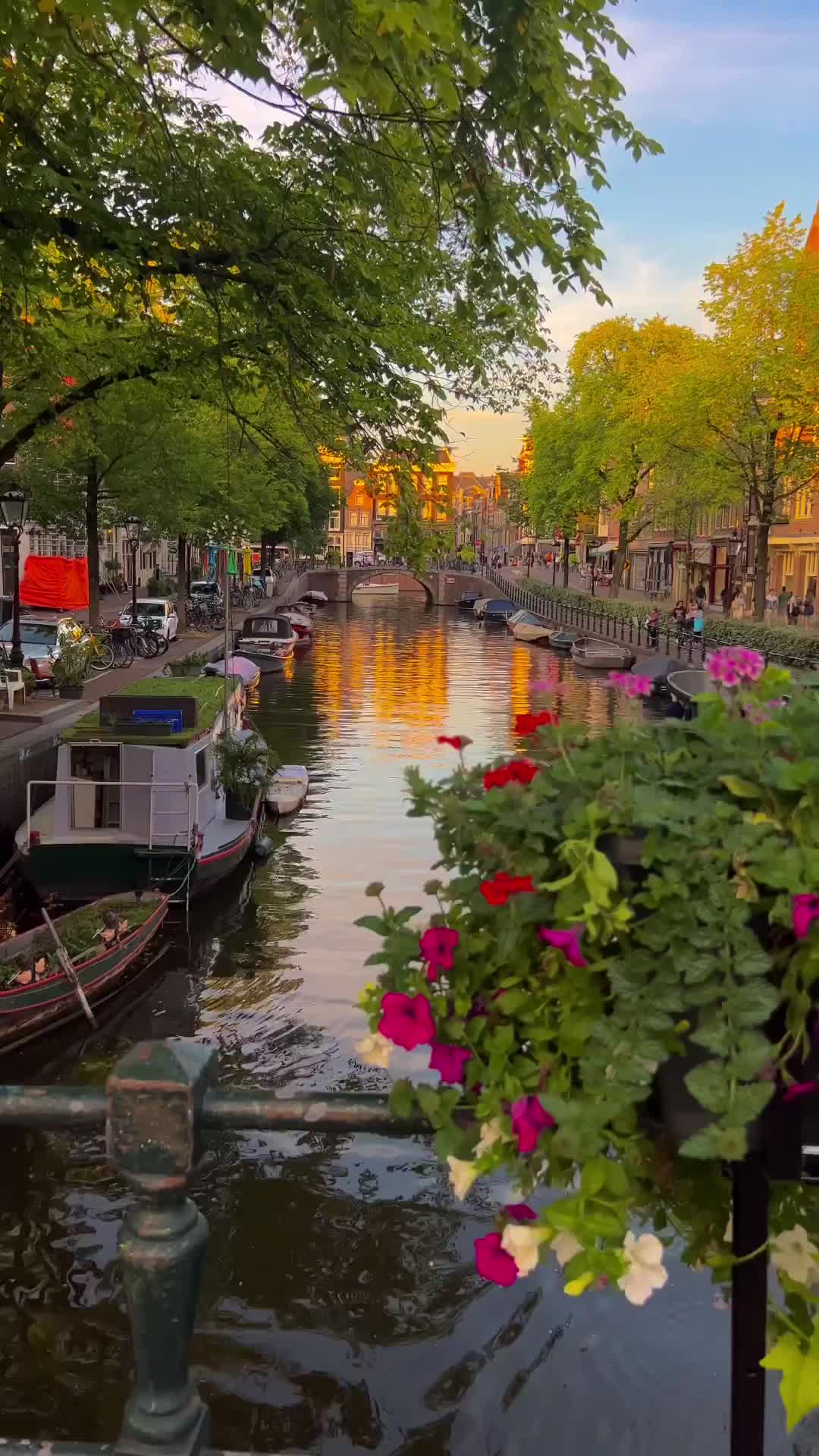 Discover Amsterdam's Natural Beauty: Canals & Flowers