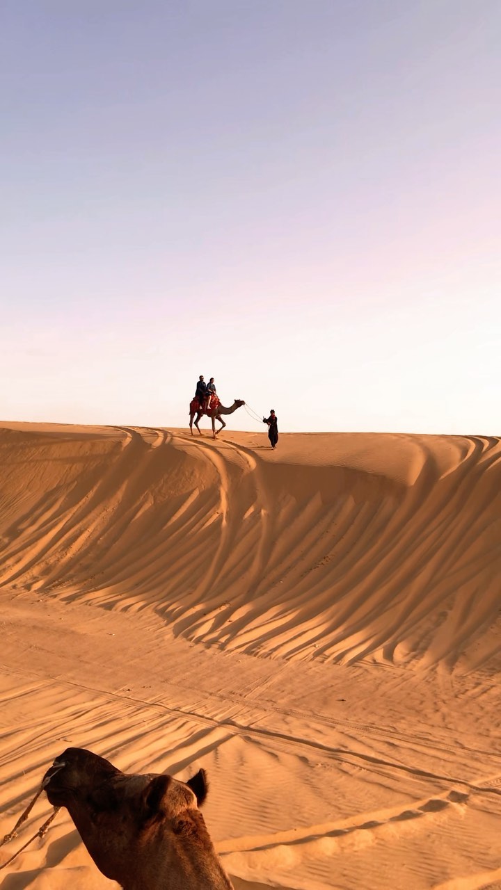 Exploring the Golden City of Jaisalmer